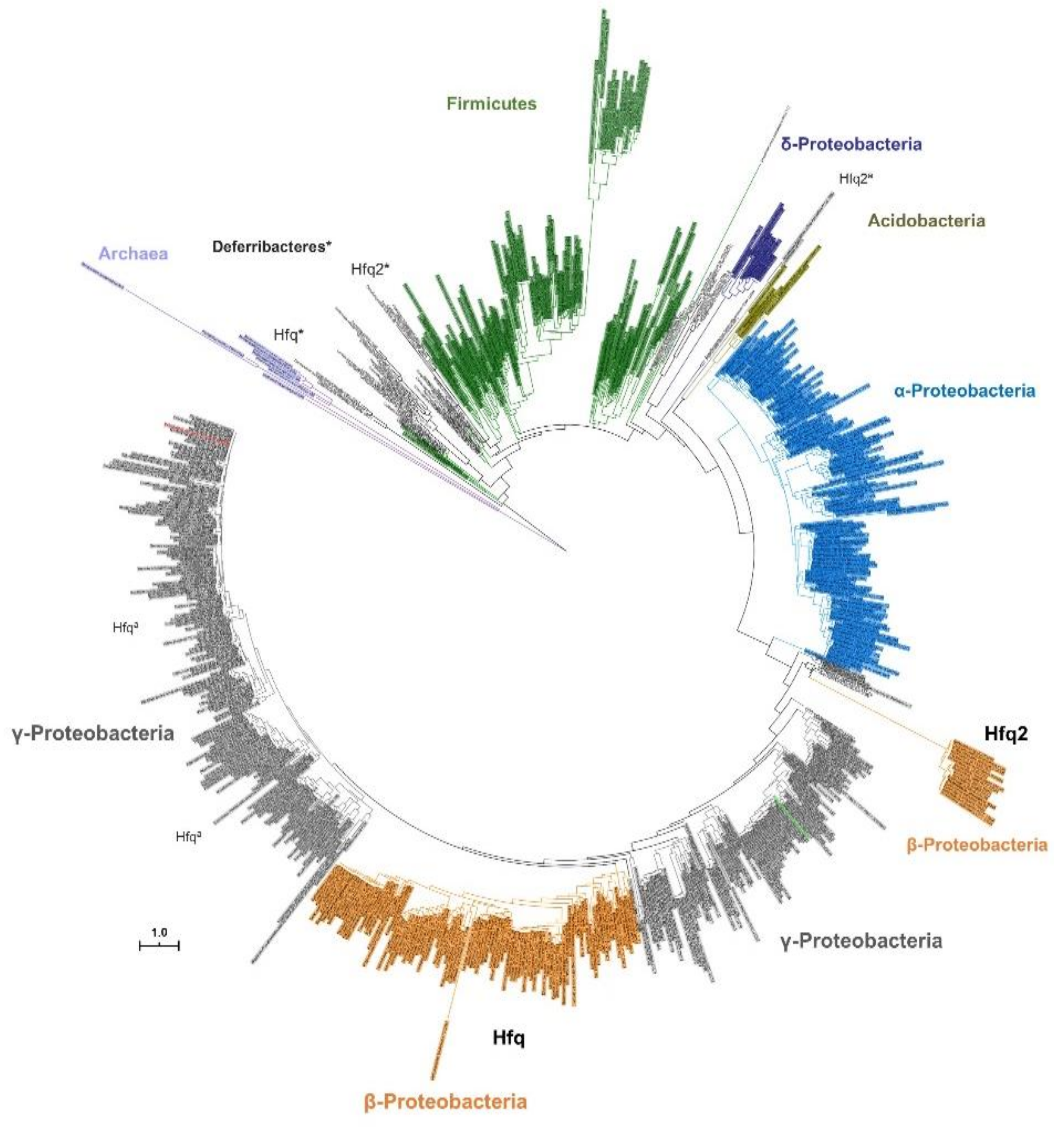 Genes 11 00231 g003 Genes 11 00231 g003