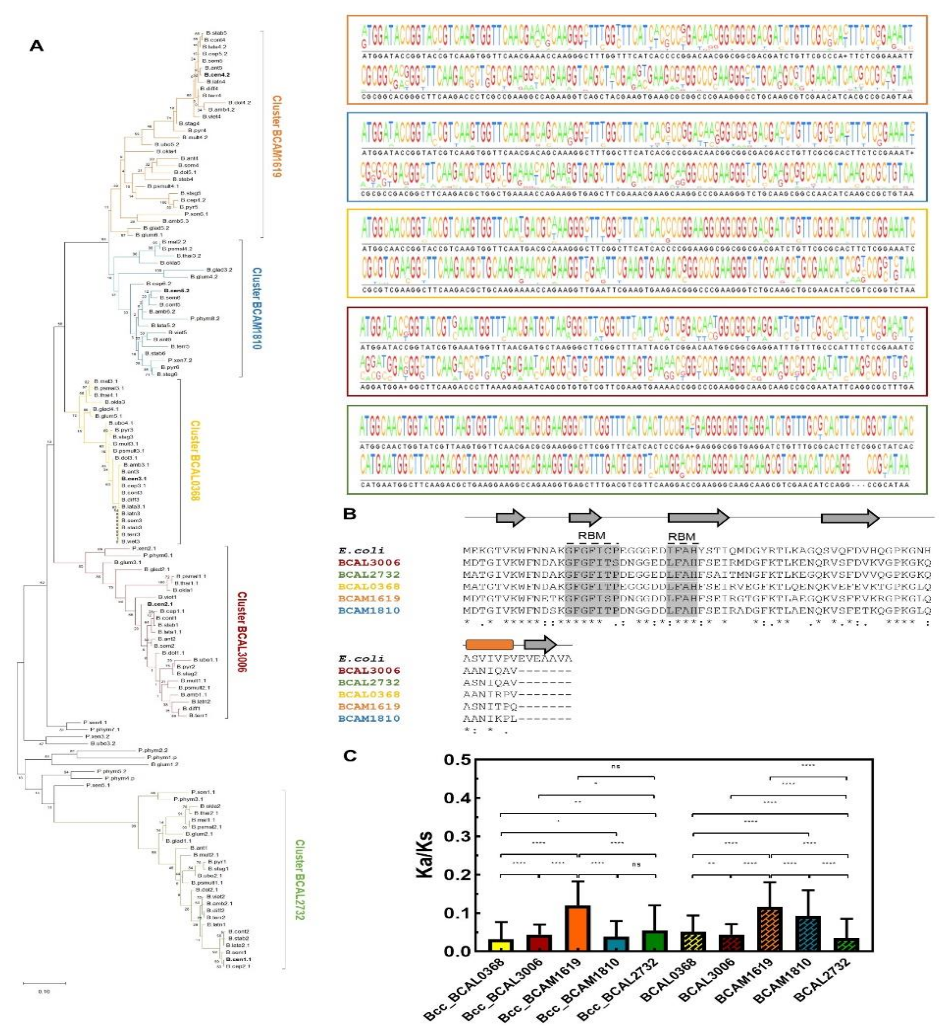 Genes 11 00231 g005 Genes 11 00231 g005
