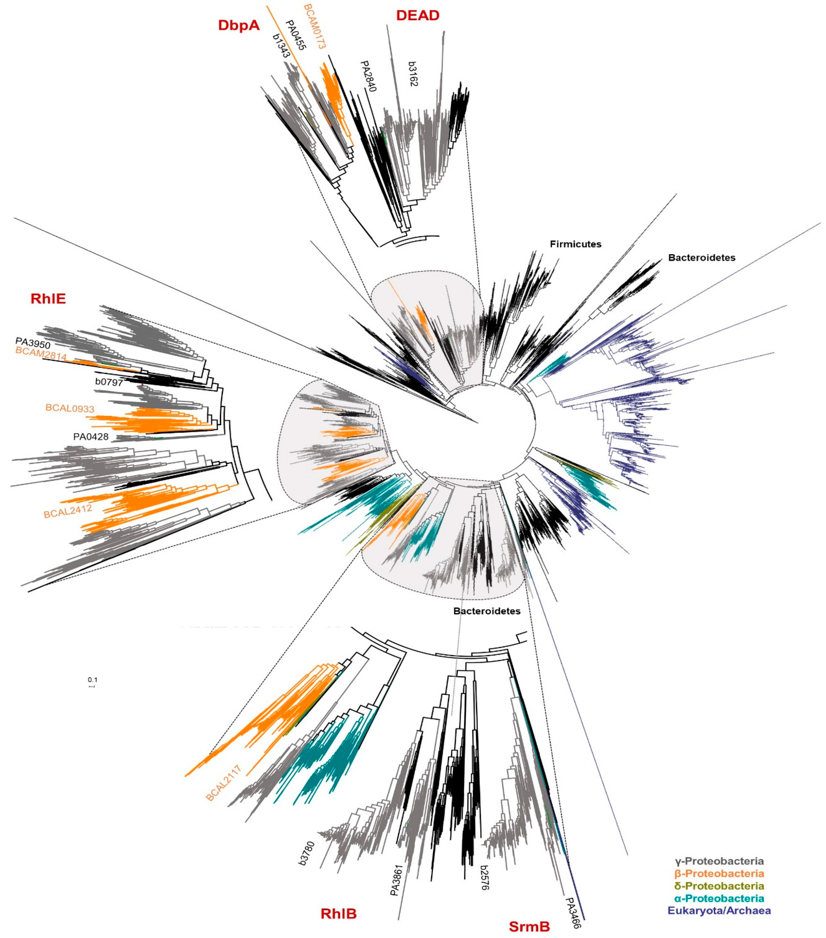 Genes 11 00231 g006 Genes 11 00231 g006