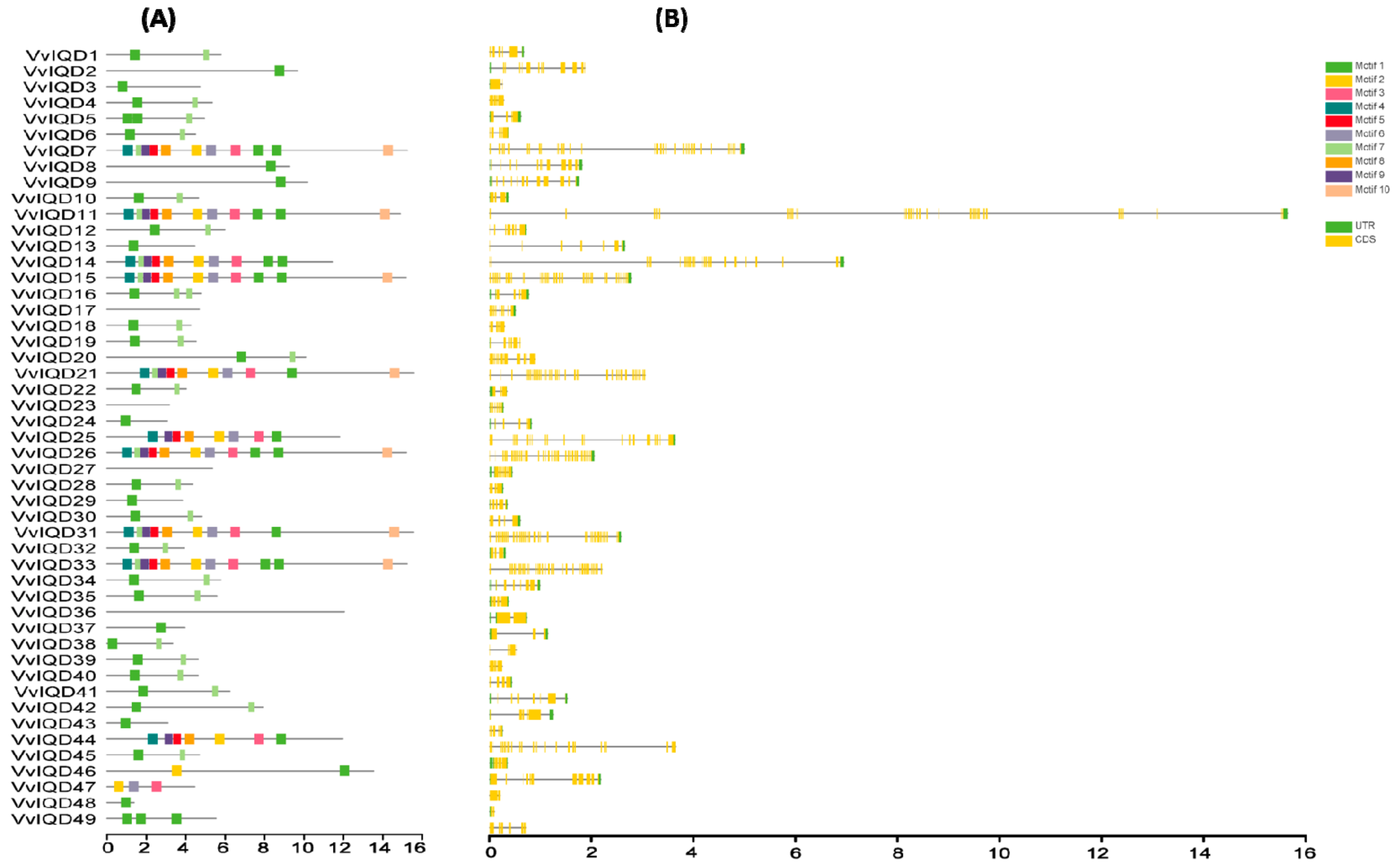 Genes 11 00235 g001