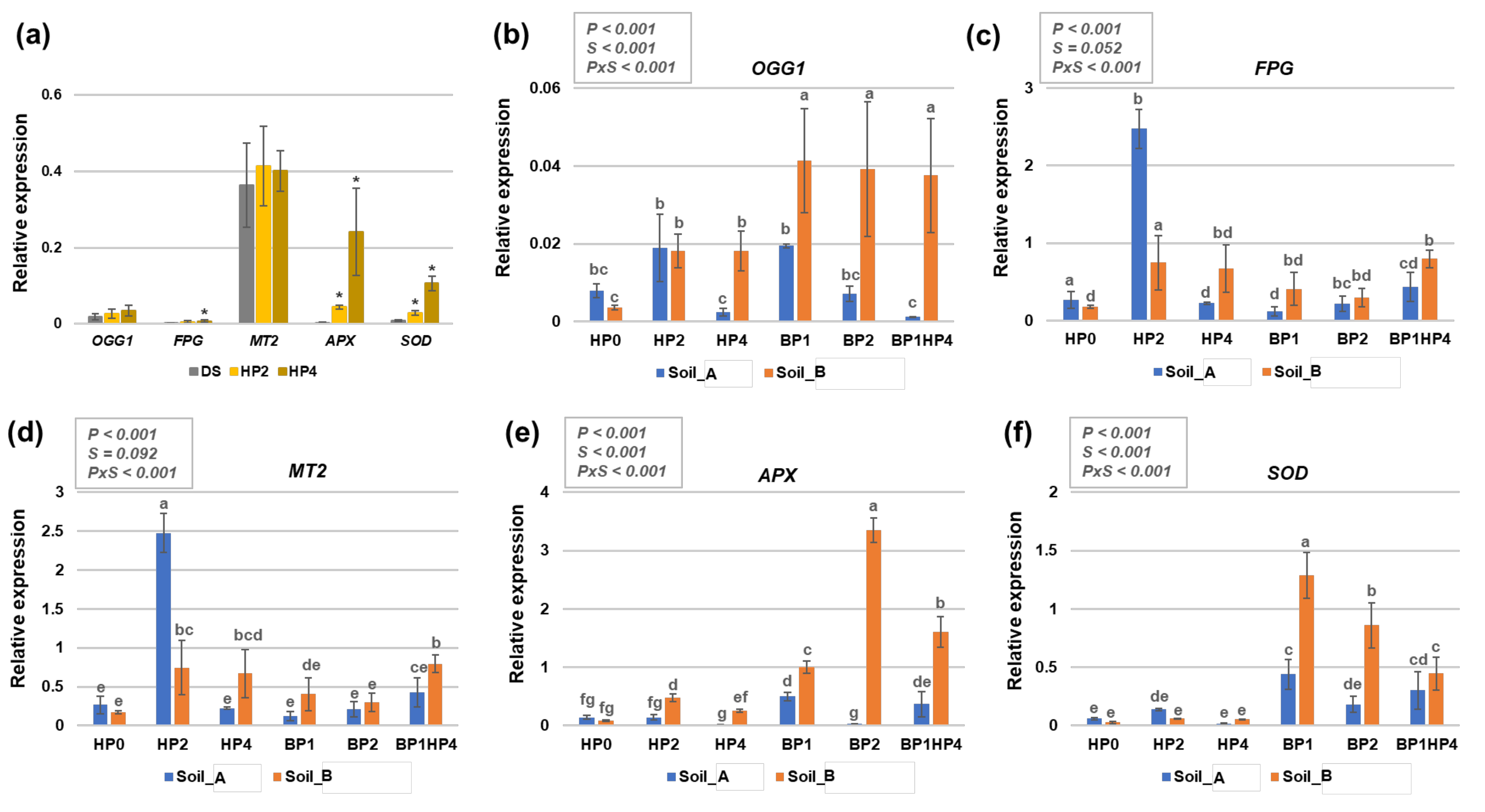 Genes 11 00242 g004