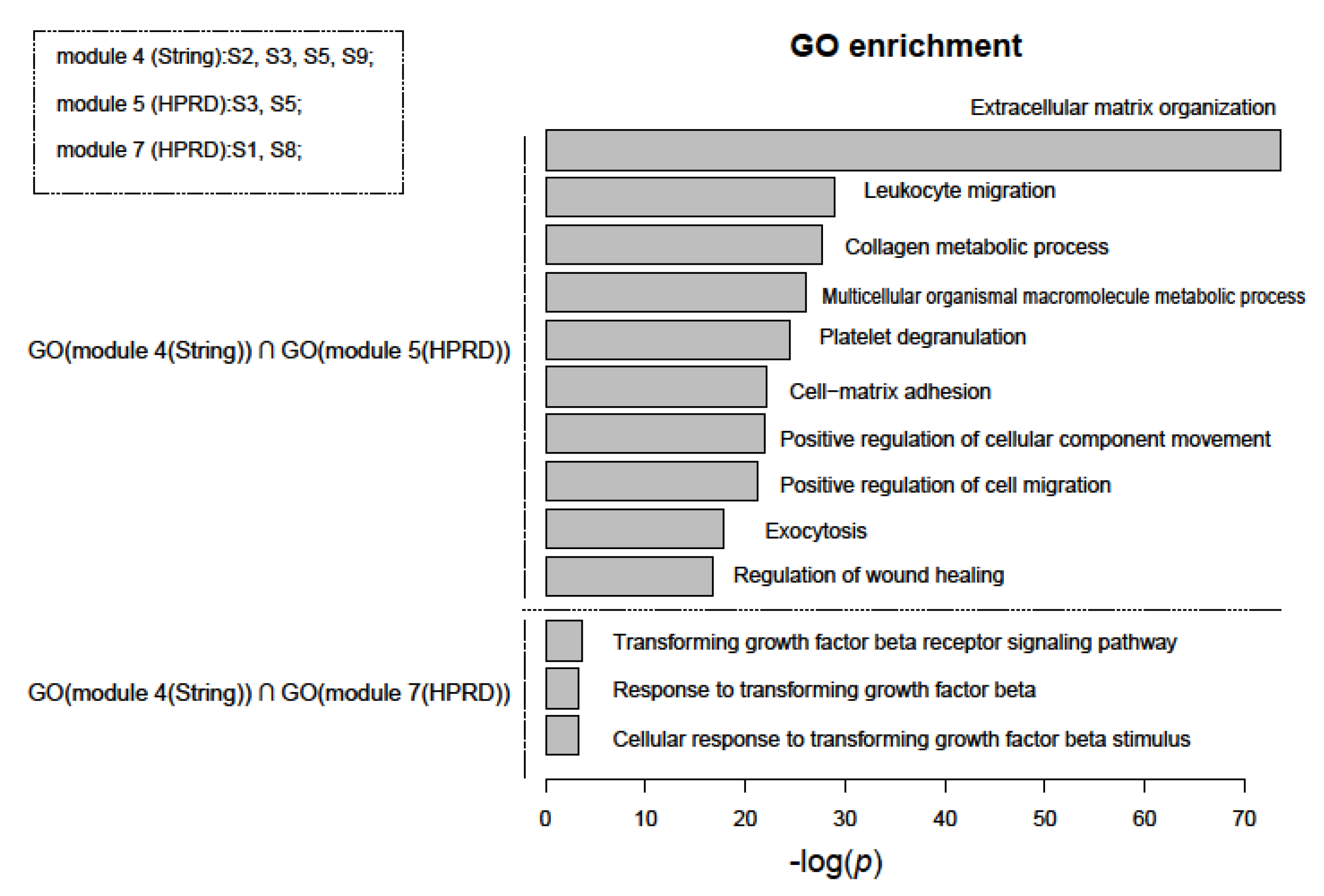 Genes 11 00247 g005