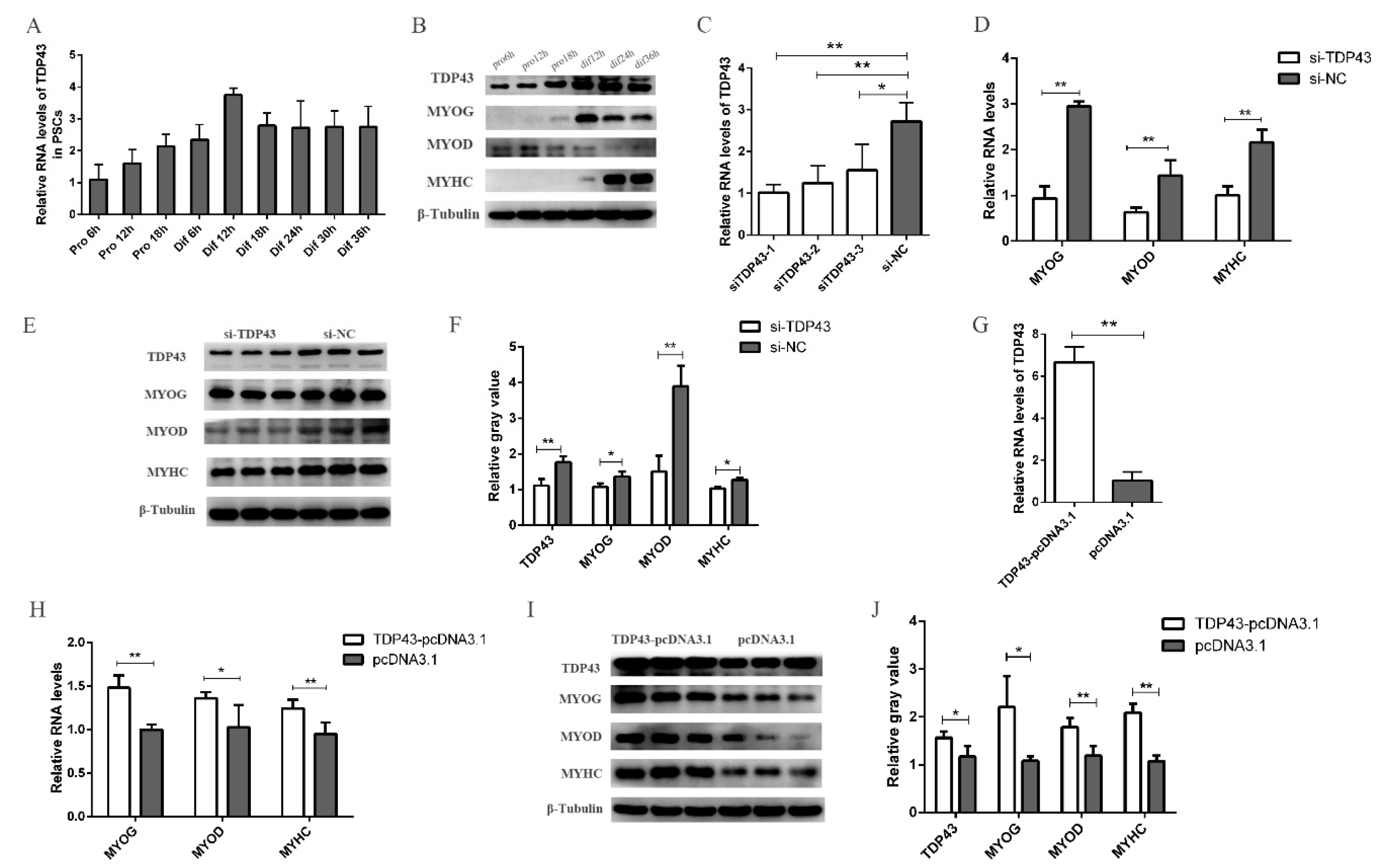 Genes 11 00259 g002 Genes 11 00259 g002