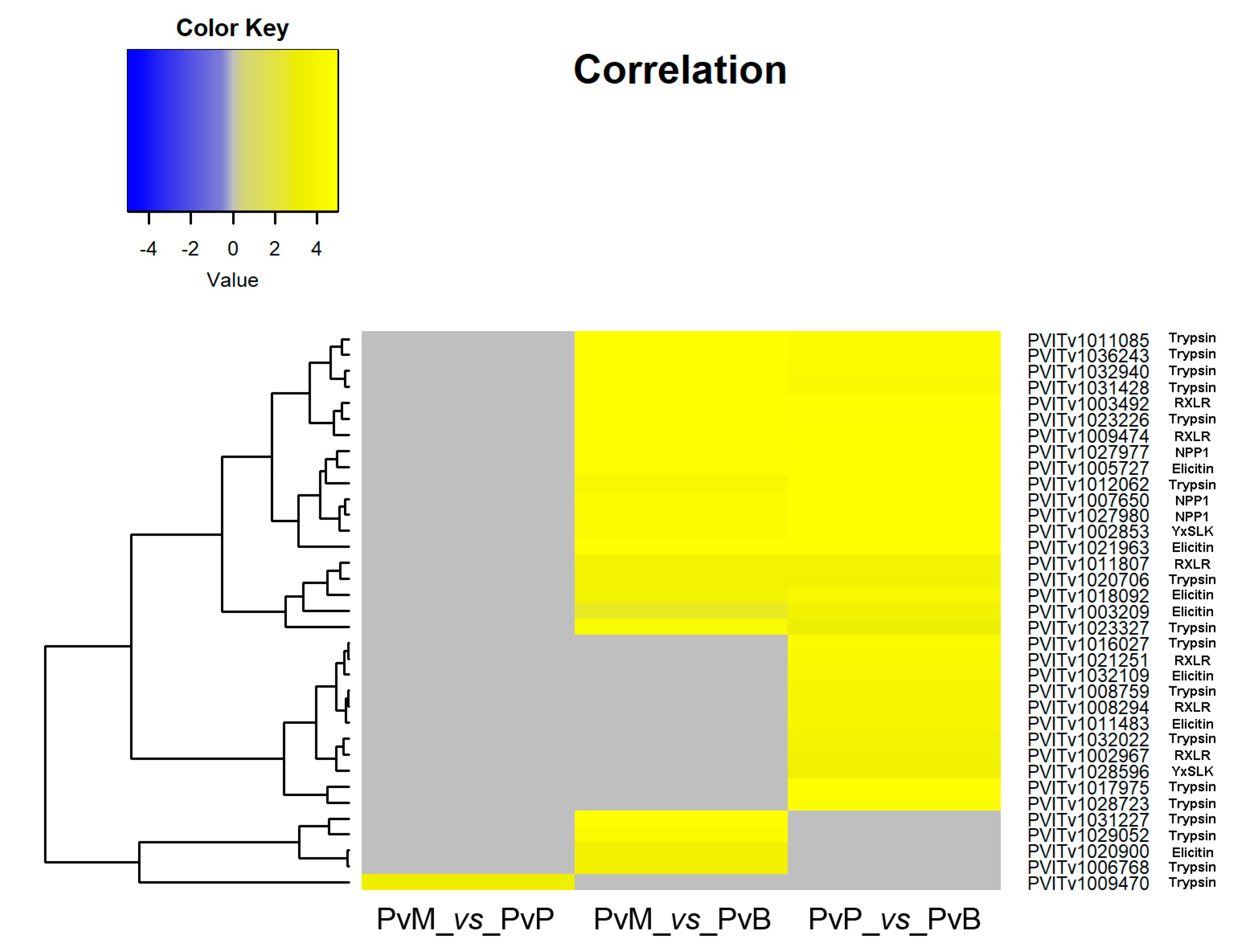 Genes 11 00261 g002 Genes 11 00261 g002