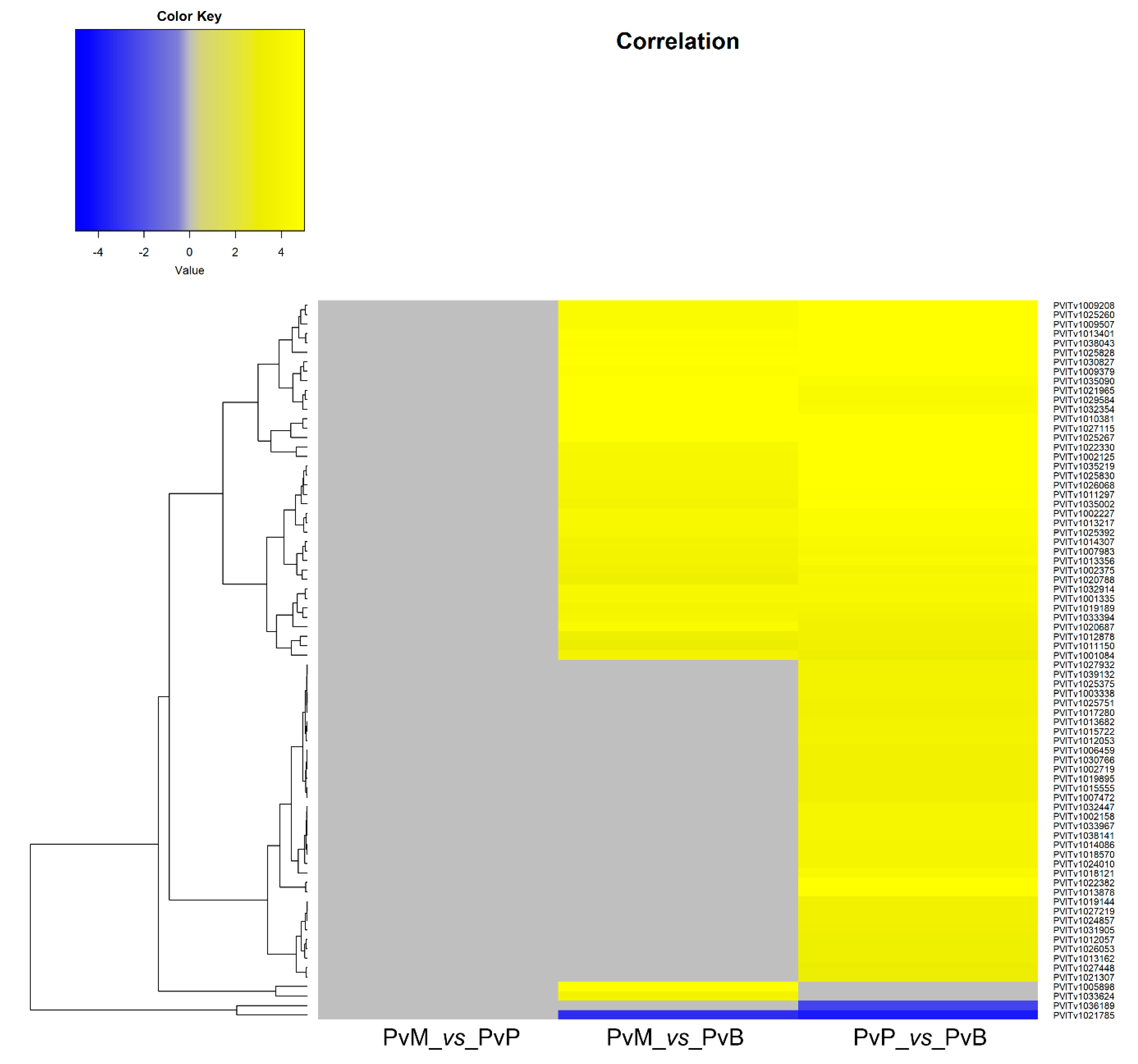 Genes 11 00261 g003 Genes 11 00261 g003