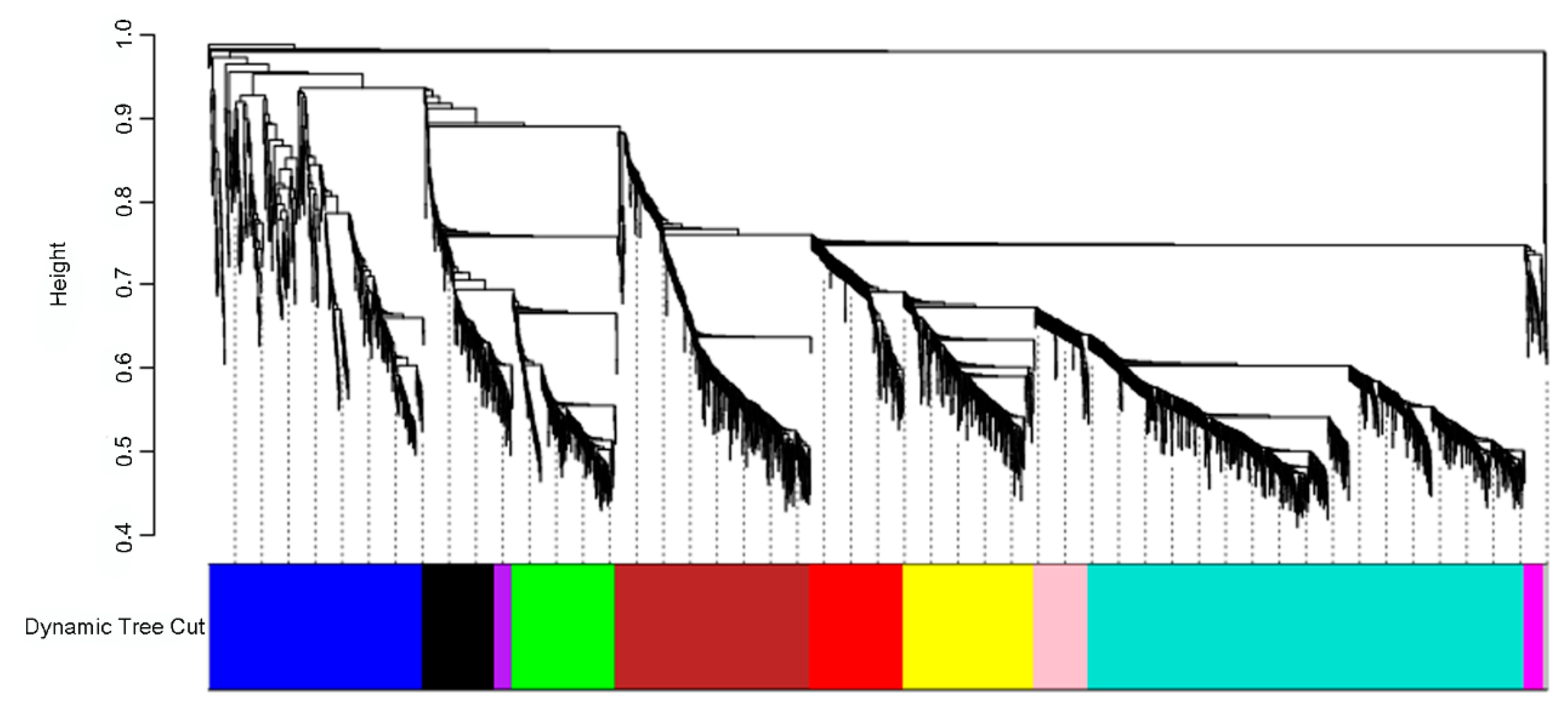 Genes 11 00261 g004 Genes 11 00261 g004