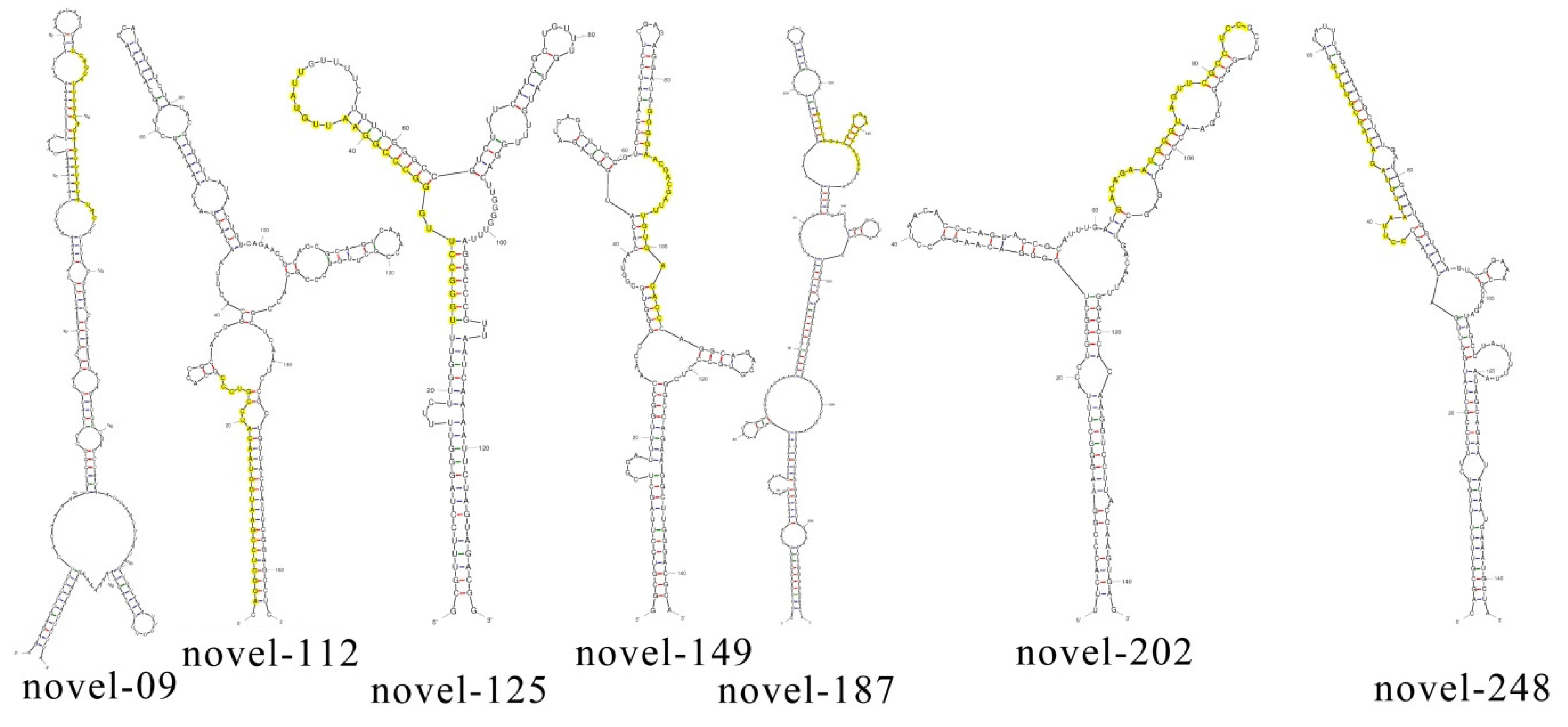 Genes 11 00264 g002 Genes 11 00264 g002