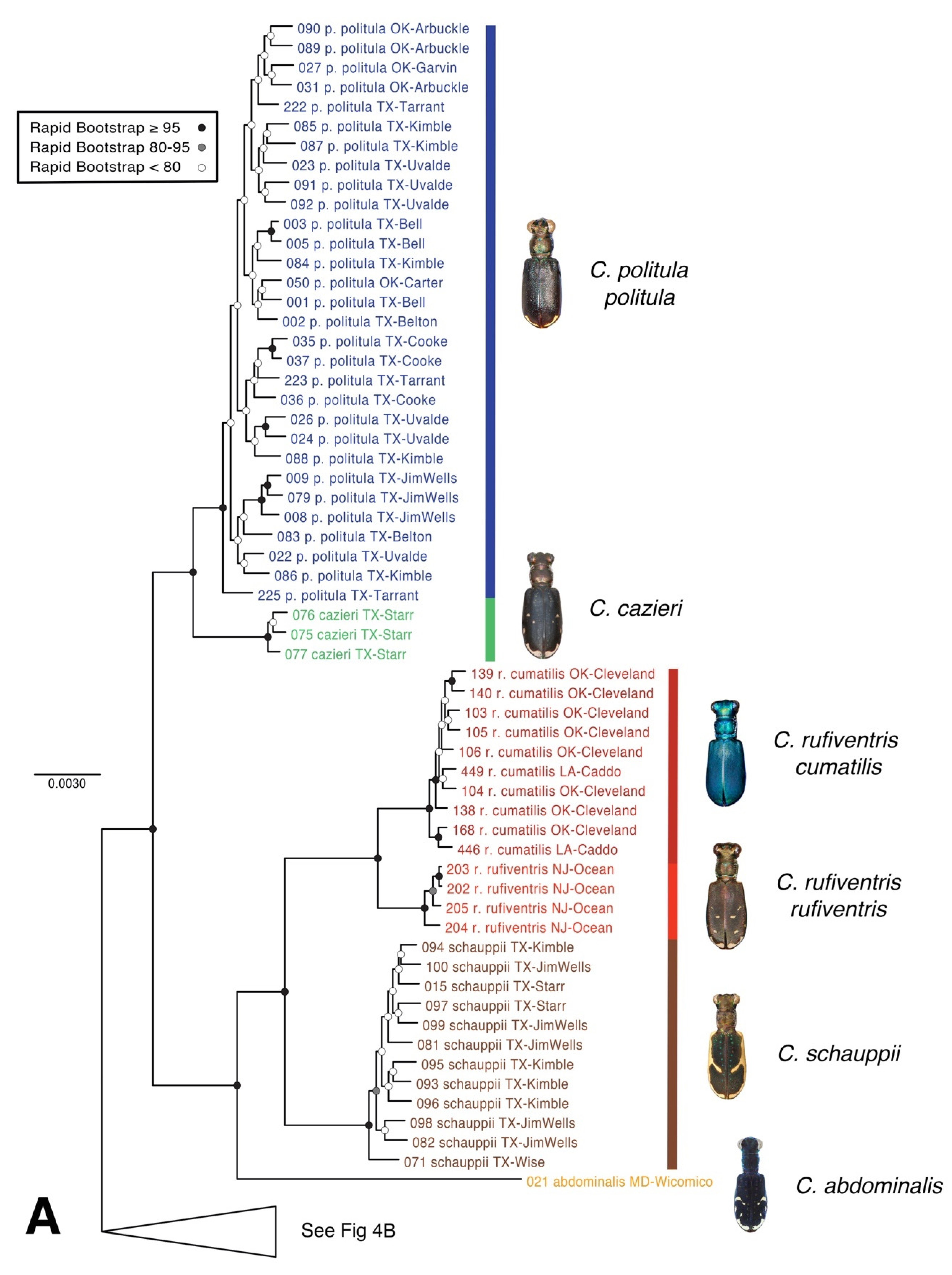 Genes 11 00265 g004a
