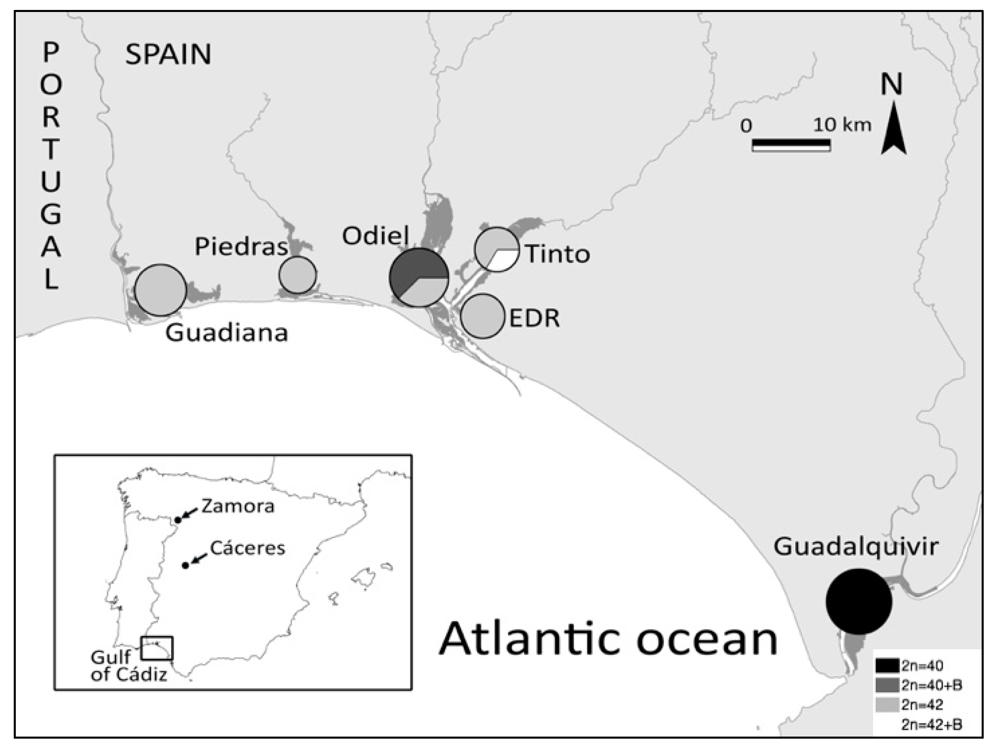 Genes 11 00270 g001 Genes 11 00270 g001