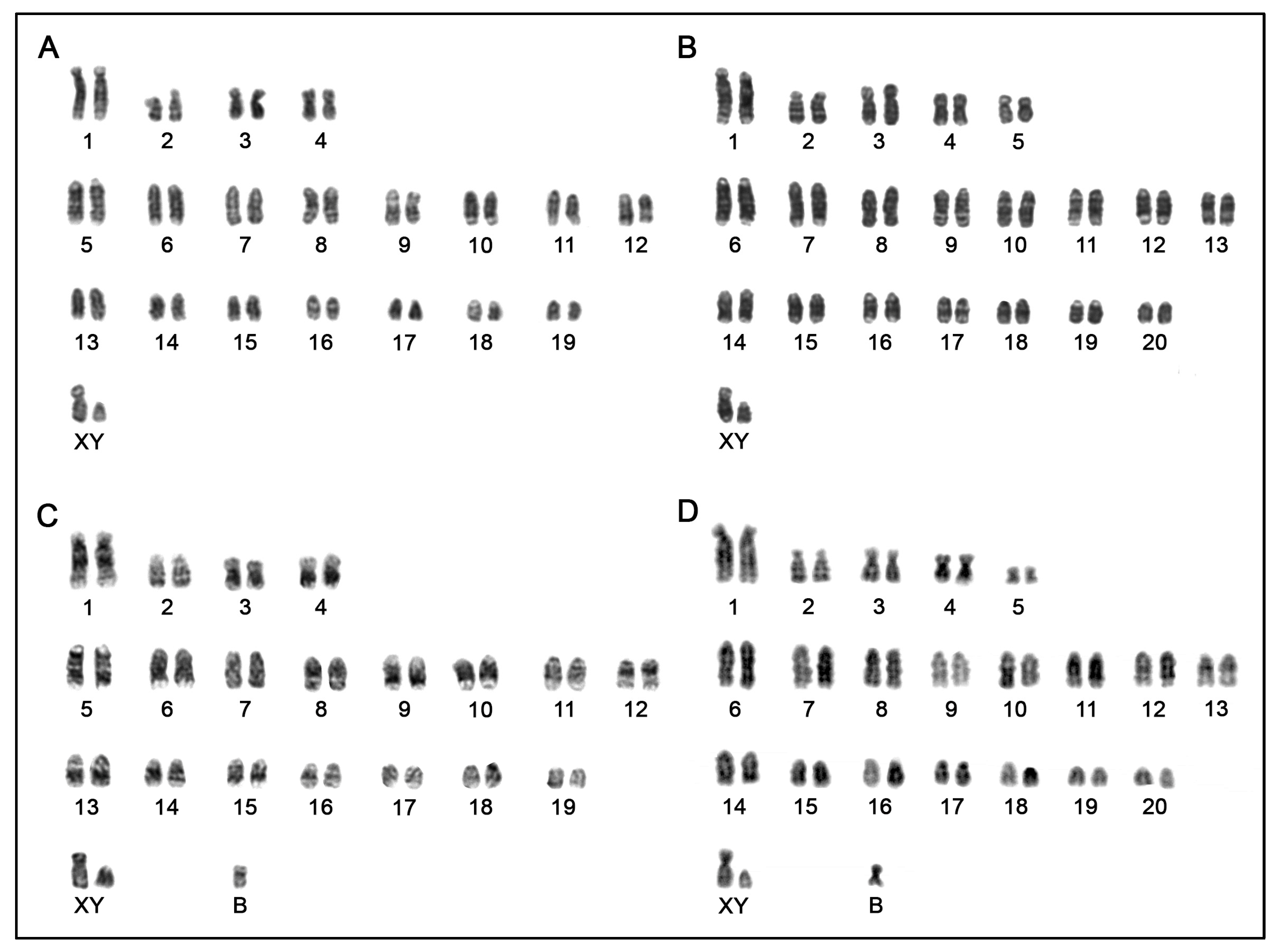Genes 11 00270 g002 Genes 11 00270 g002