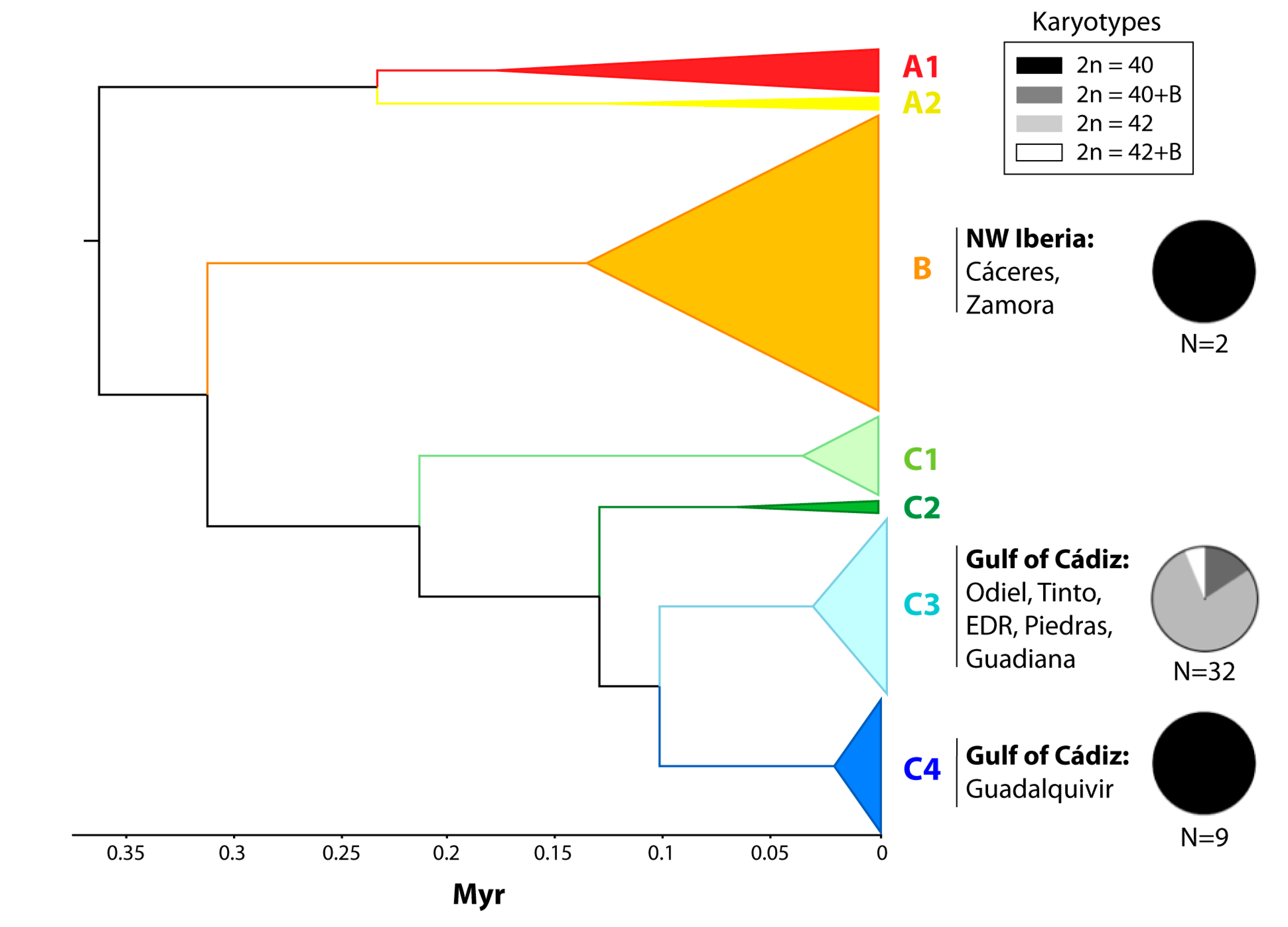 Genes 11 00270 g003 Genes 11 00270 g003