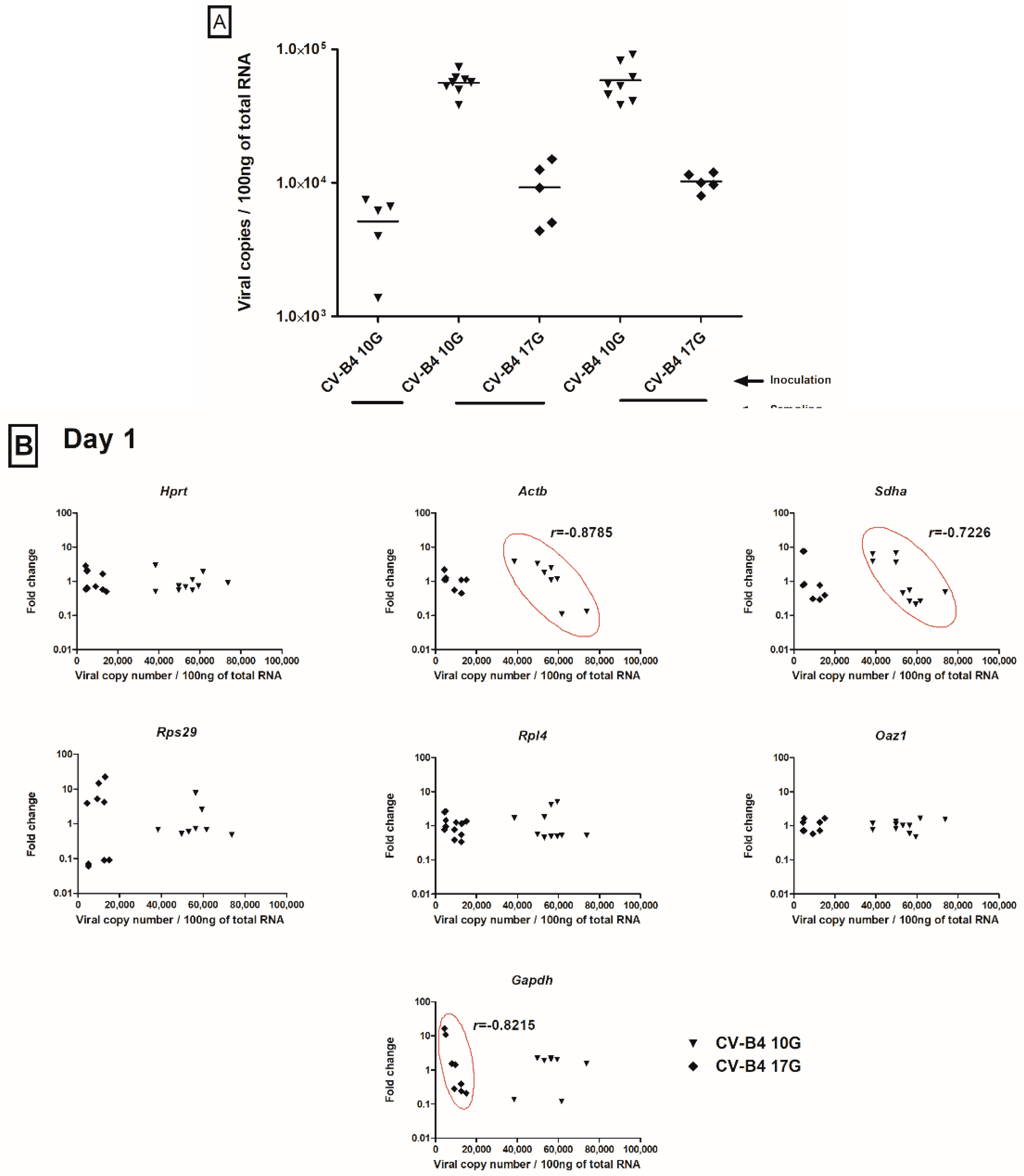 Genes 11 00279 g003a