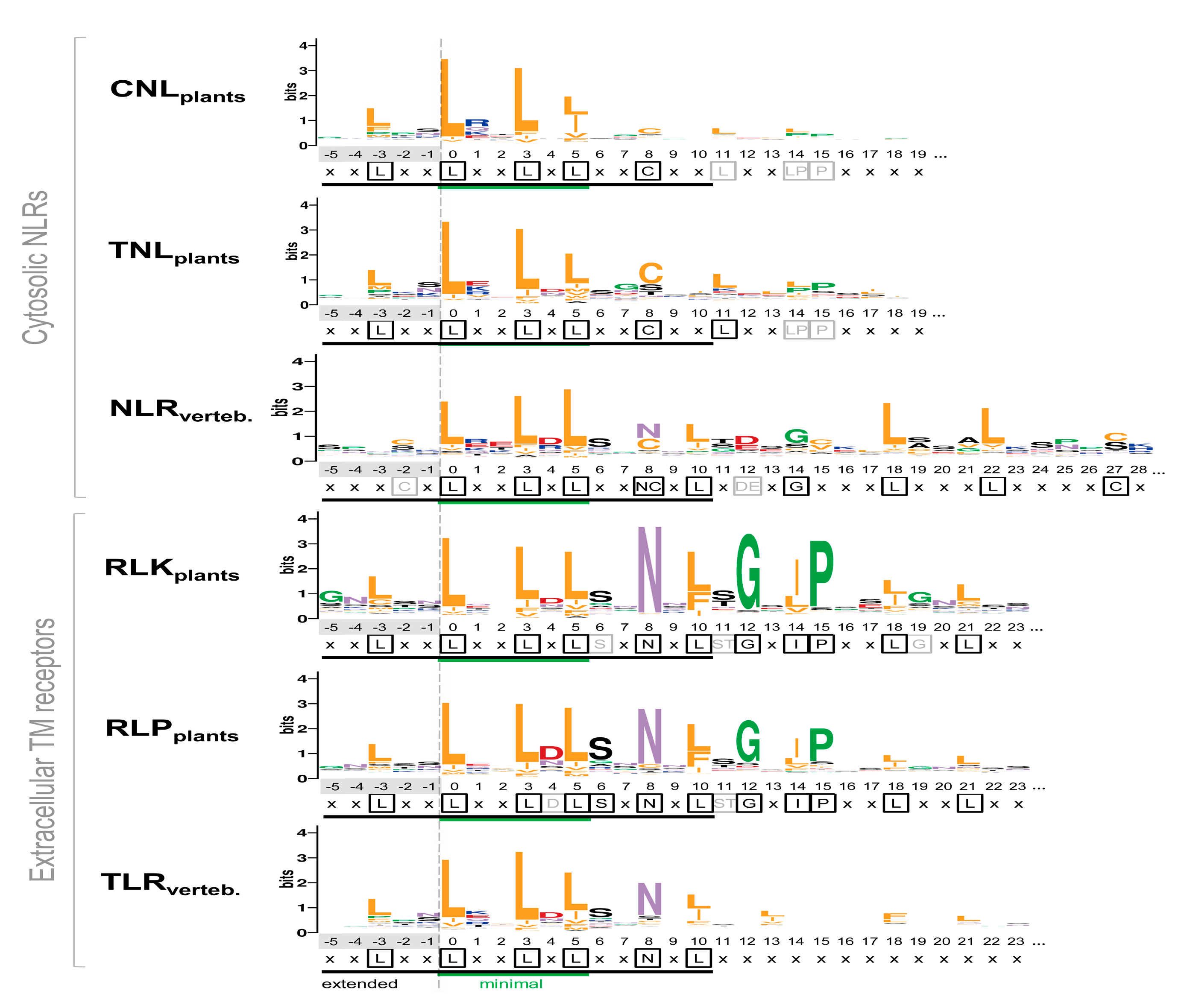 Genes 11 00286 g005 Genes 11 00286 g005