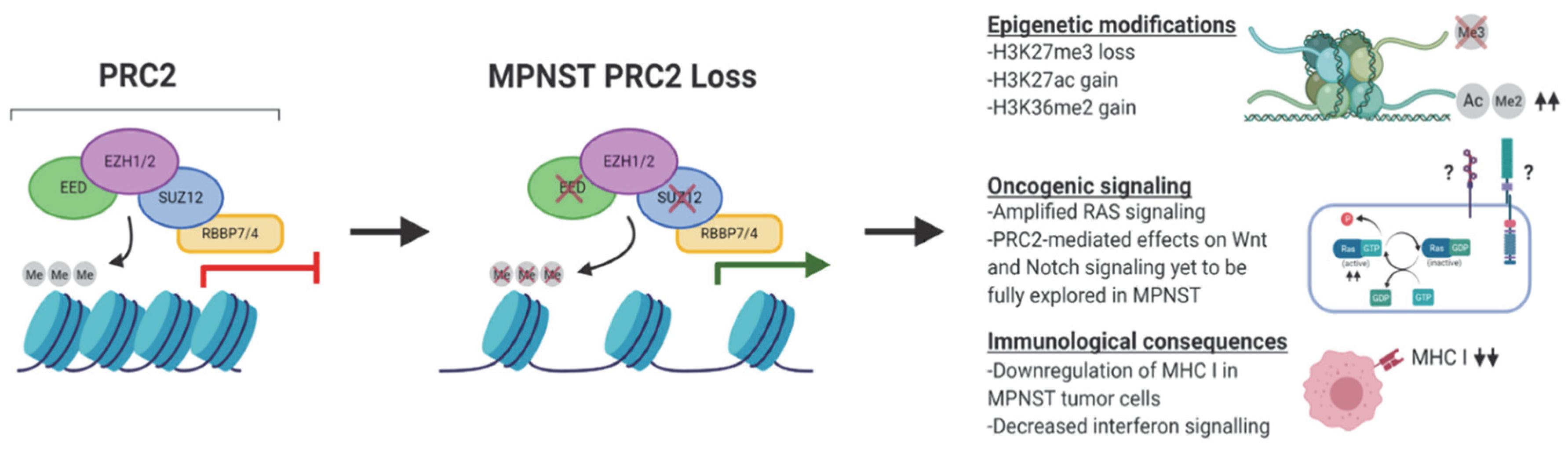 Genes 11 00287 g003 Genes 11 00287 g003