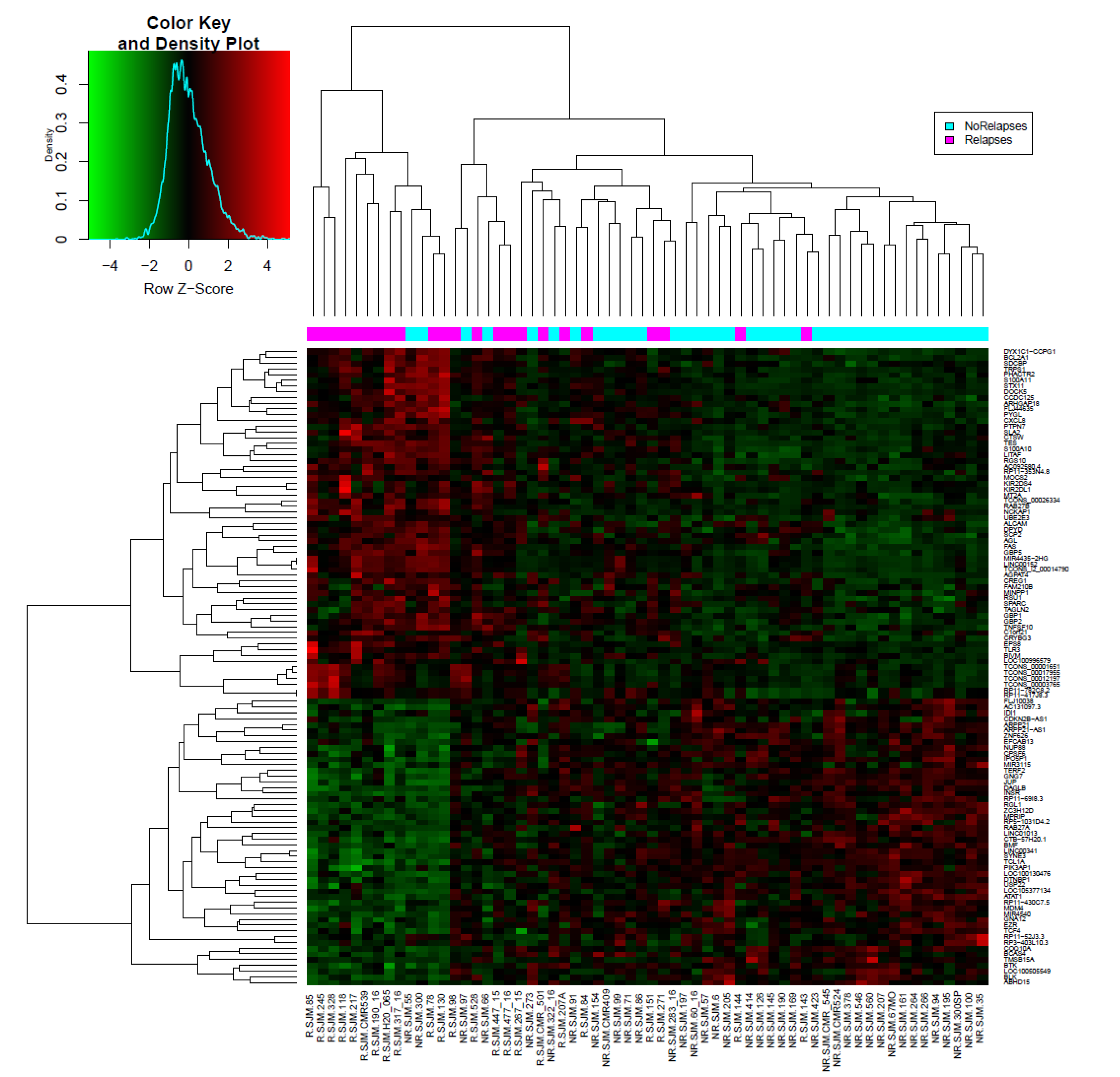 Genes 11 00302 g001 Genes 11 00302 g001