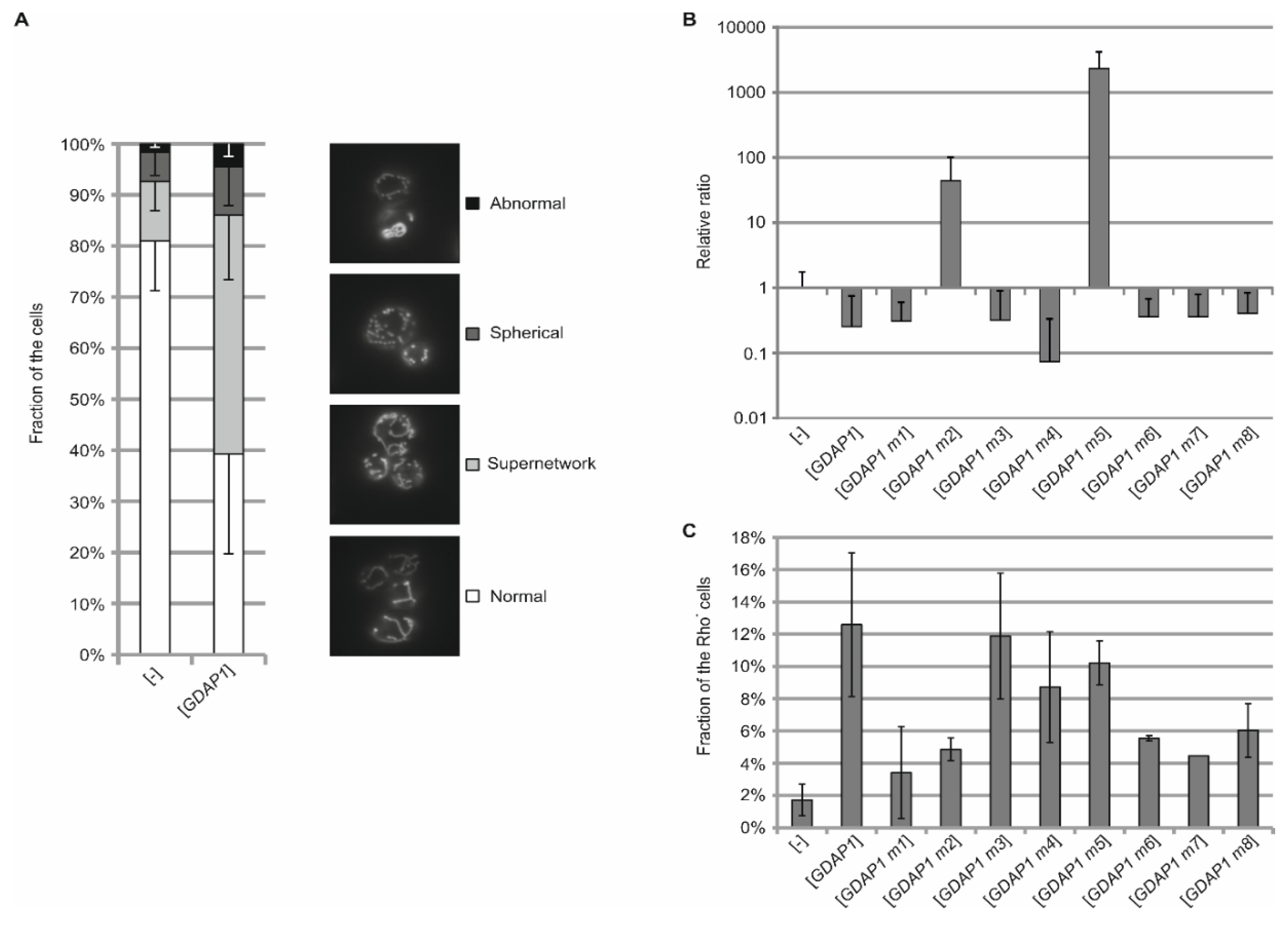 Genes 11 00310 g003