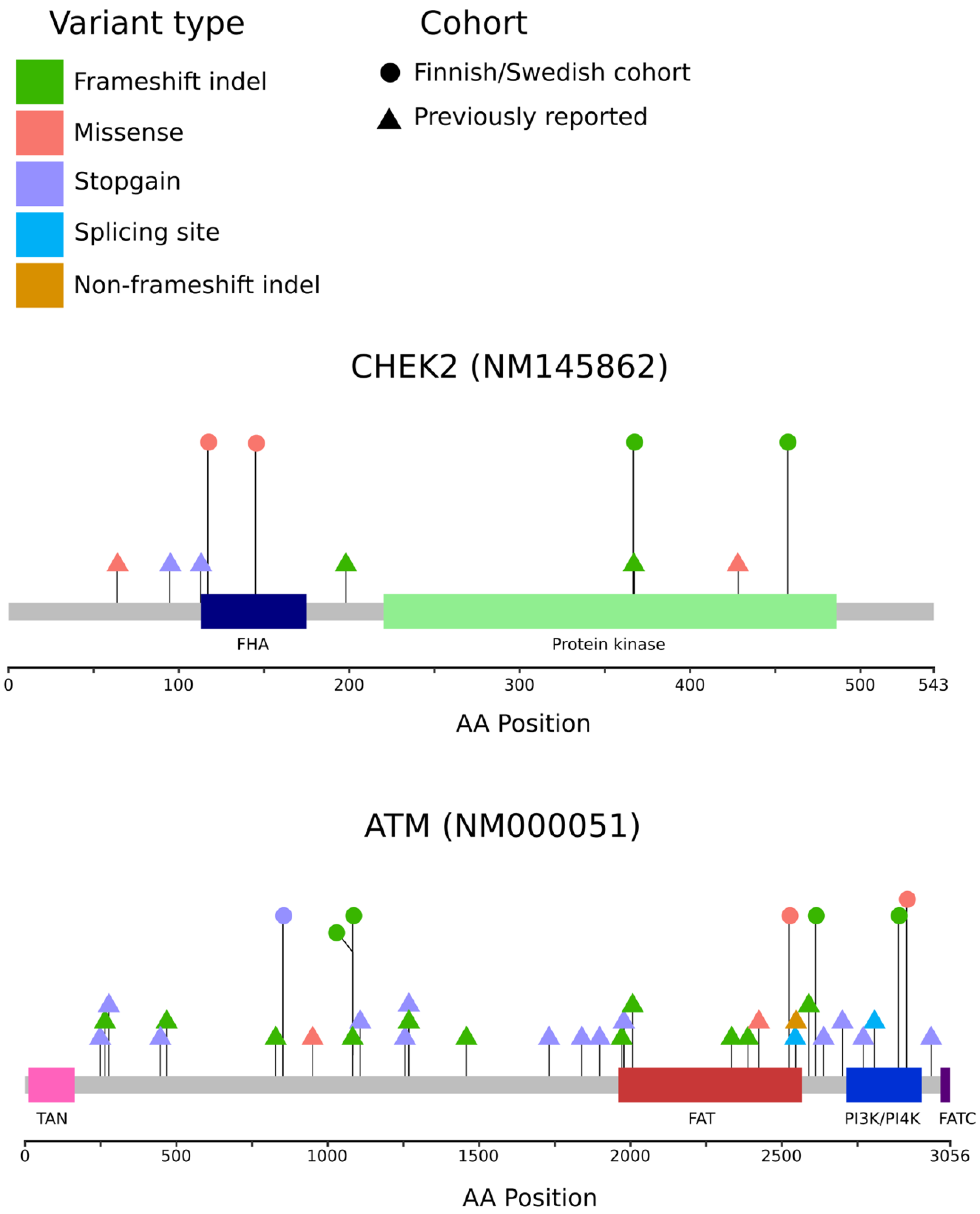 Genes 11 00314 g002