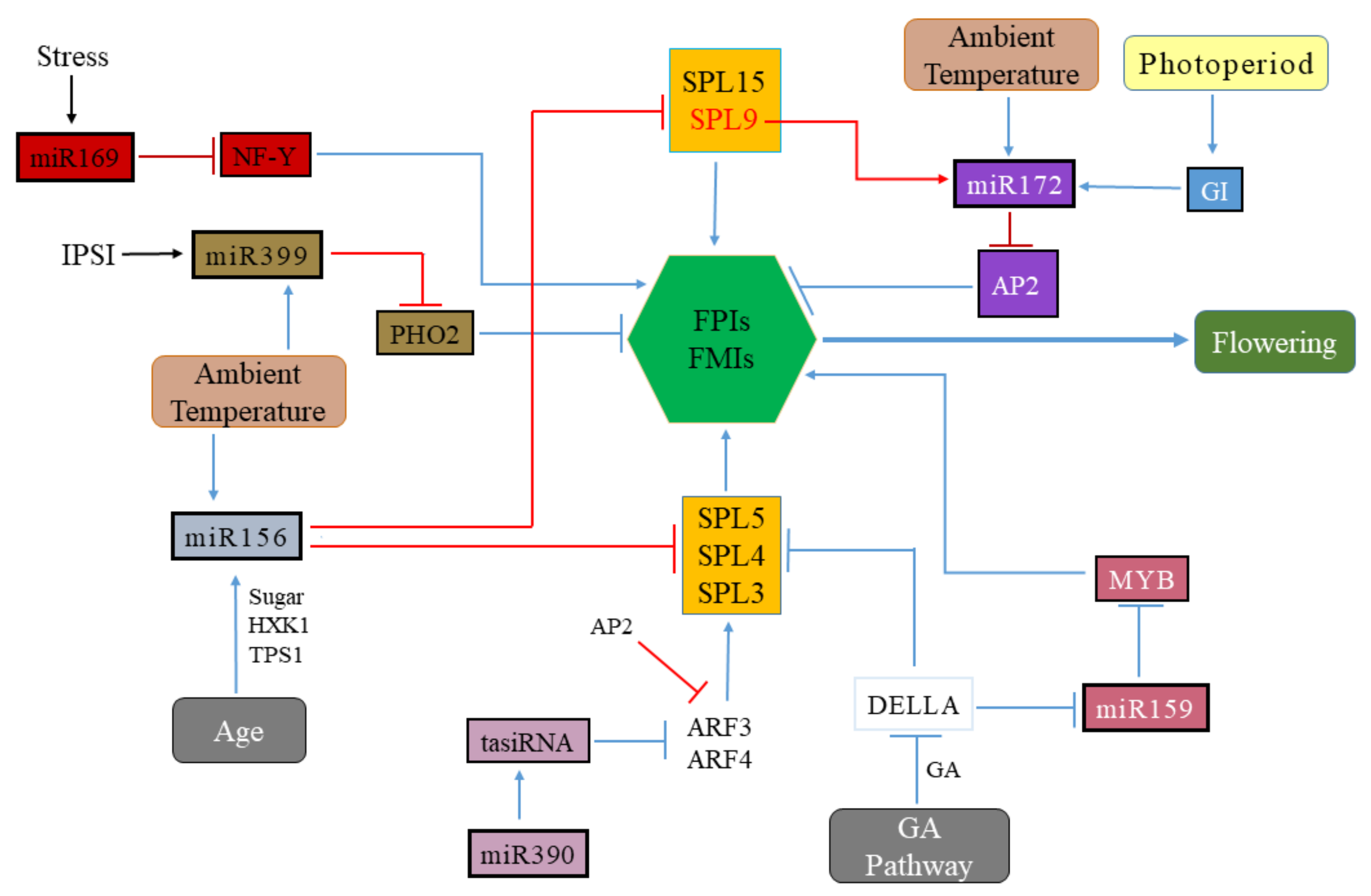 Genes 11 00319 g002 Genes 11 00319 g002