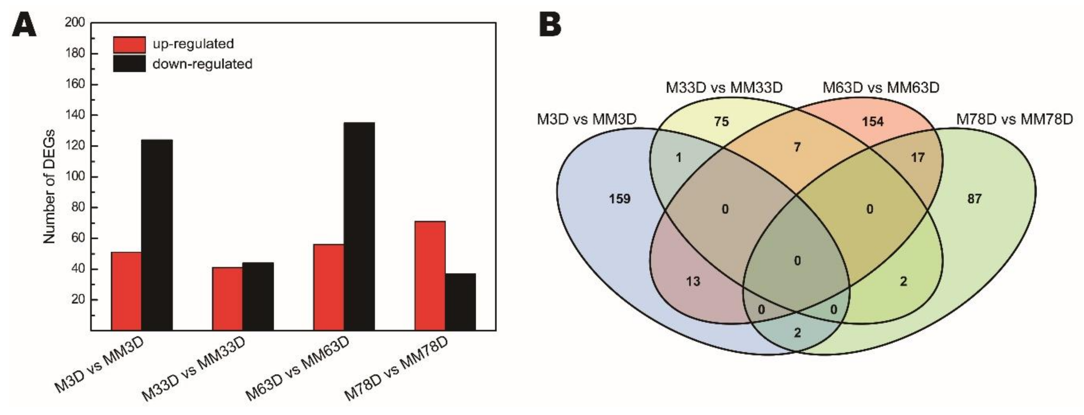 Genes 11 00324 g002