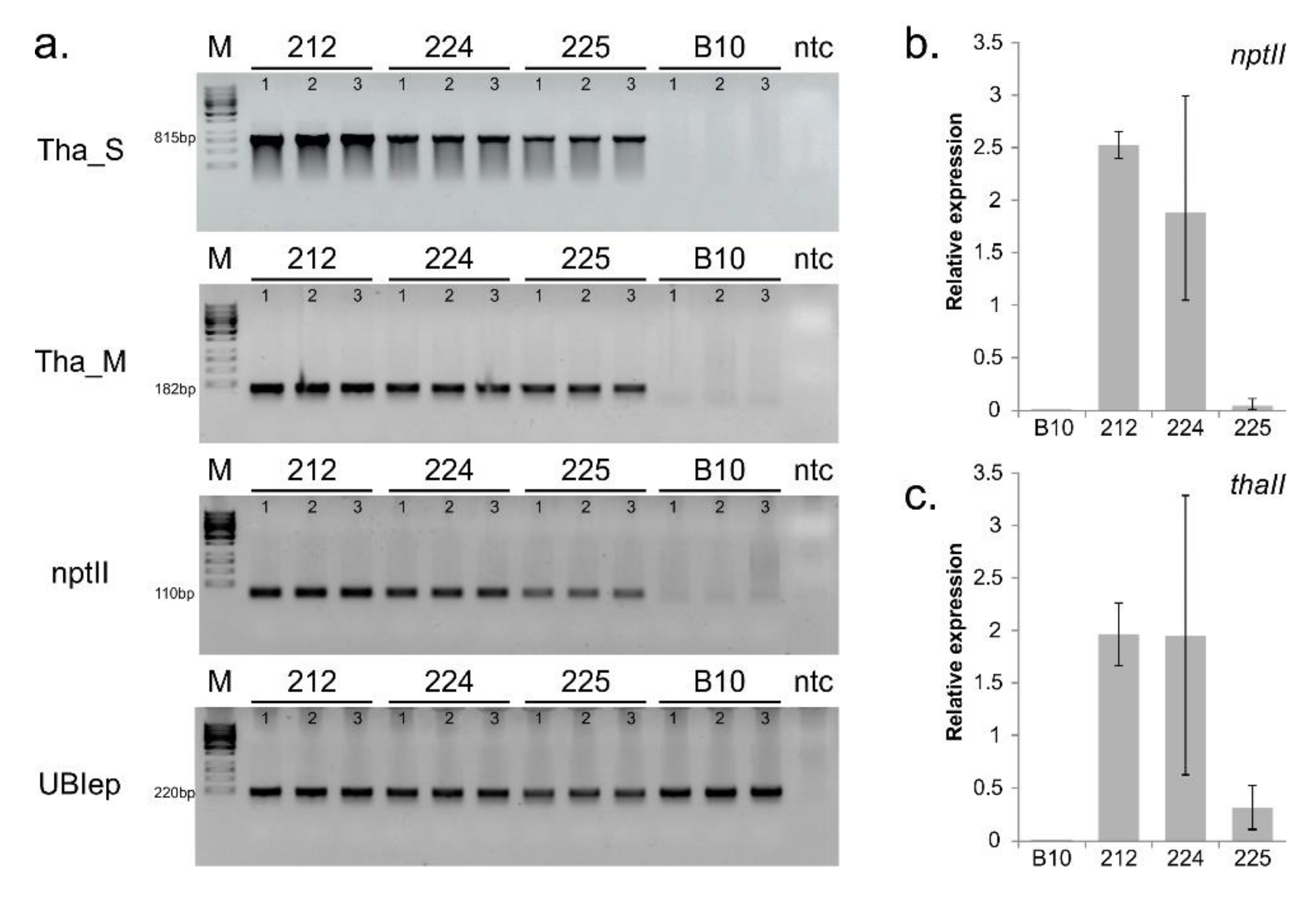 Genes 11 00334 g001 Genes 11 00334 g001
