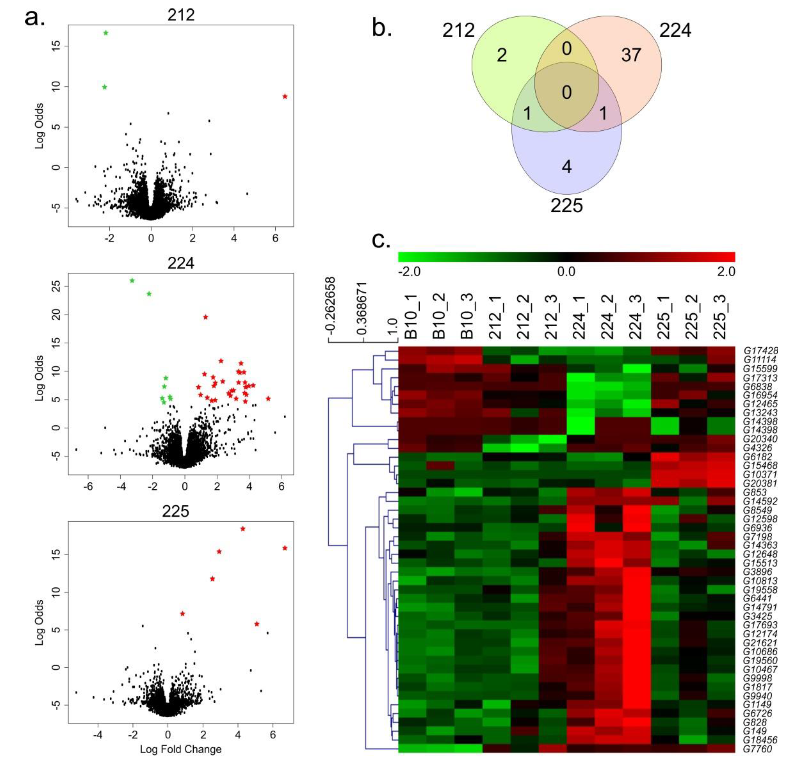 Genes 11 00334 g002 Genes 11 00334 g002