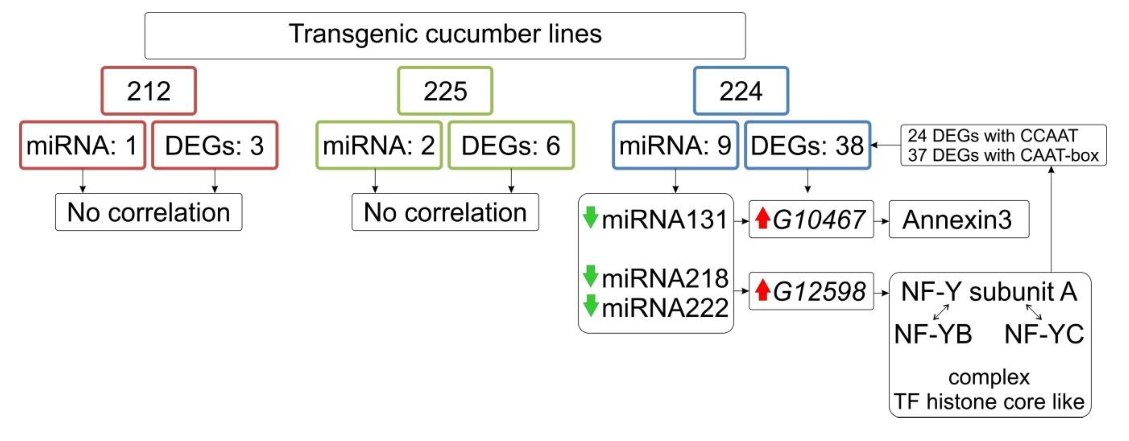 Genes 11 00334 g005 Genes 11 00334 g005