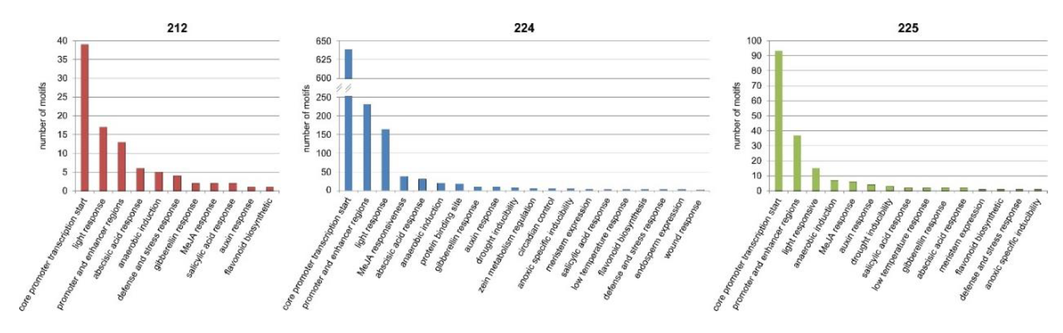 Genes 11 00334 g007 Genes 11 00334 g007