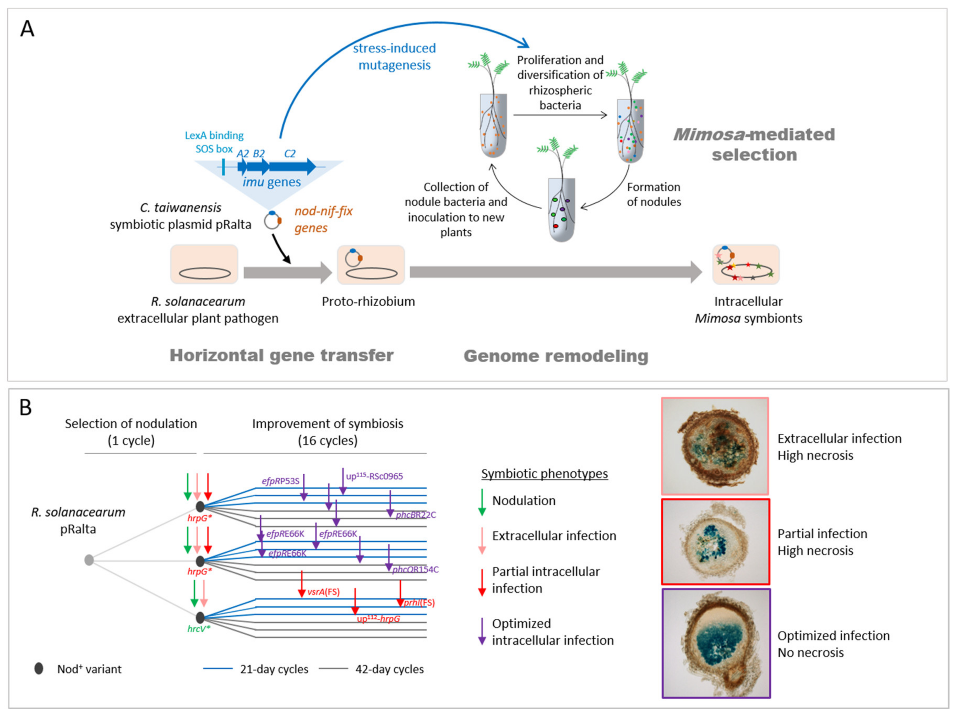 Genes 11 00339 g002 Genes 11 00339 g002