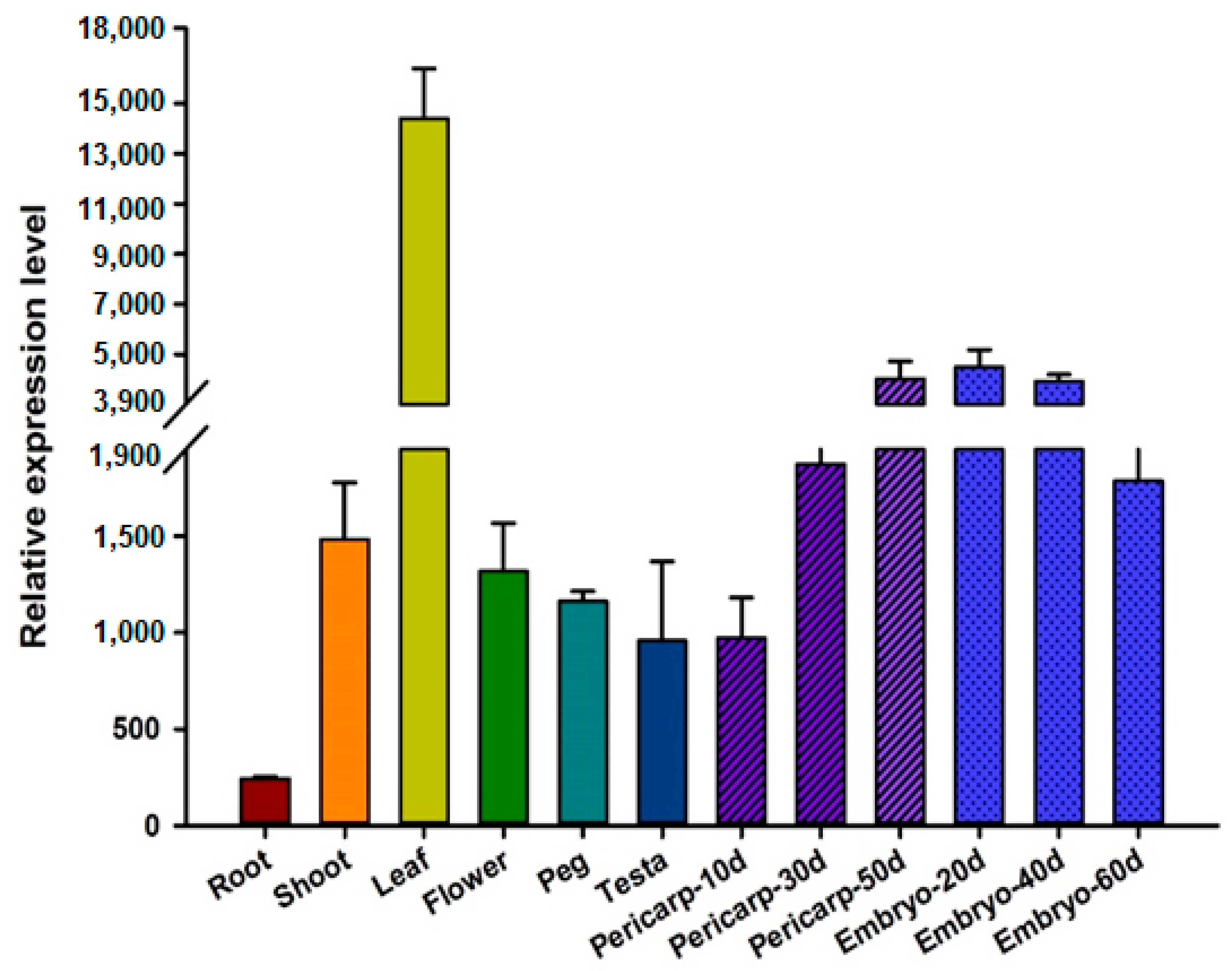 Genes 11 00343 g004 Genes 11 00343 g004
