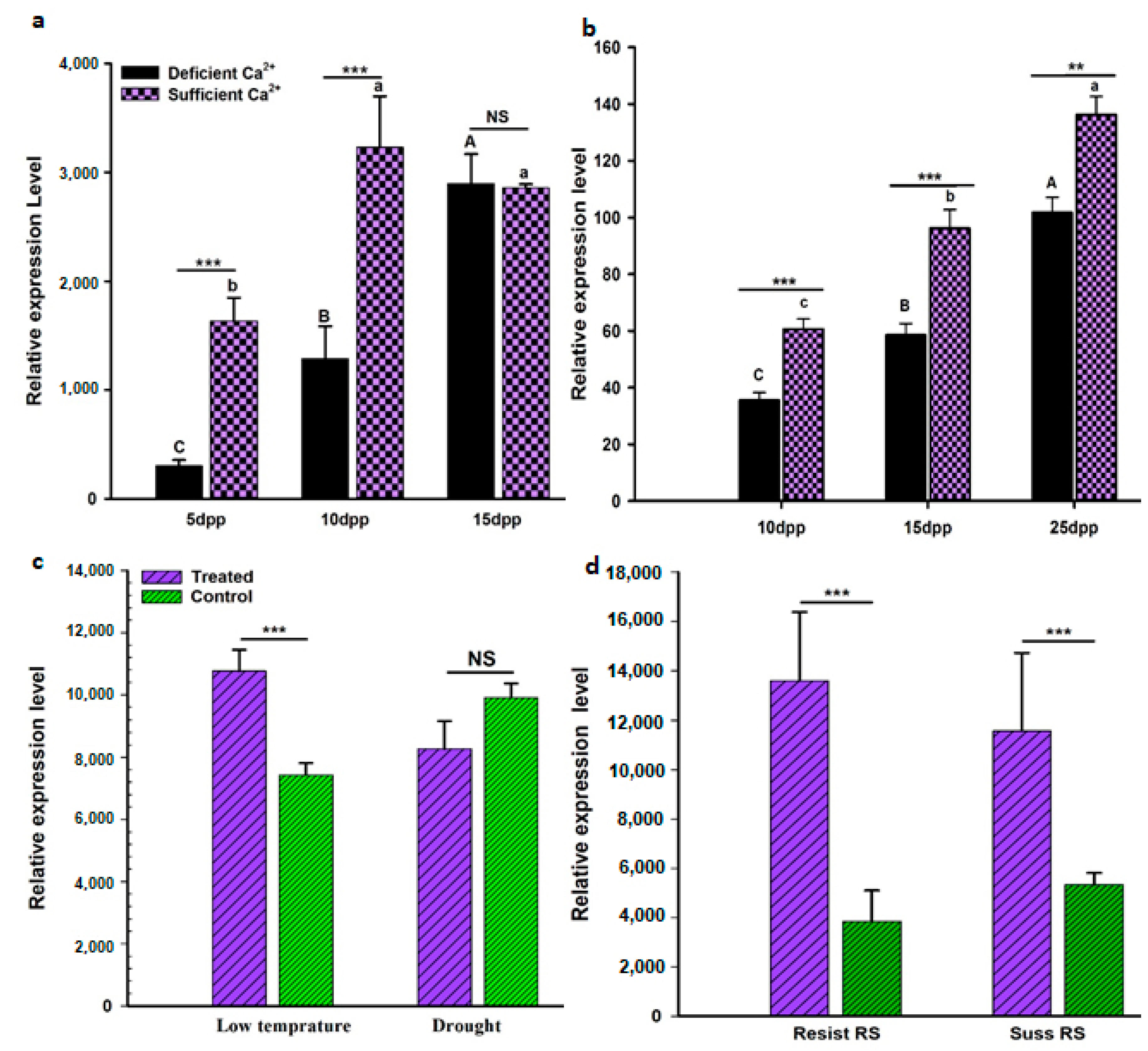 Genes 11 00343 g005 Genes 11 00343 g005