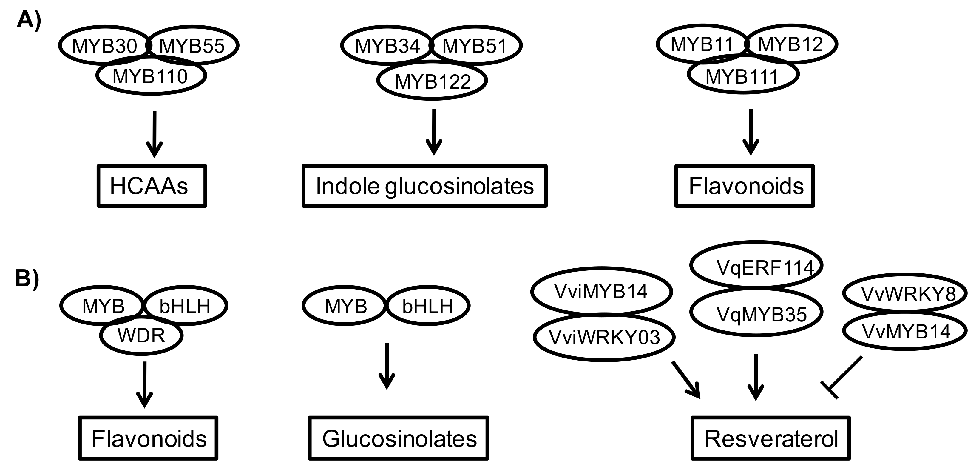 Genes 11 00346 g002 Genes 11 00346 g002