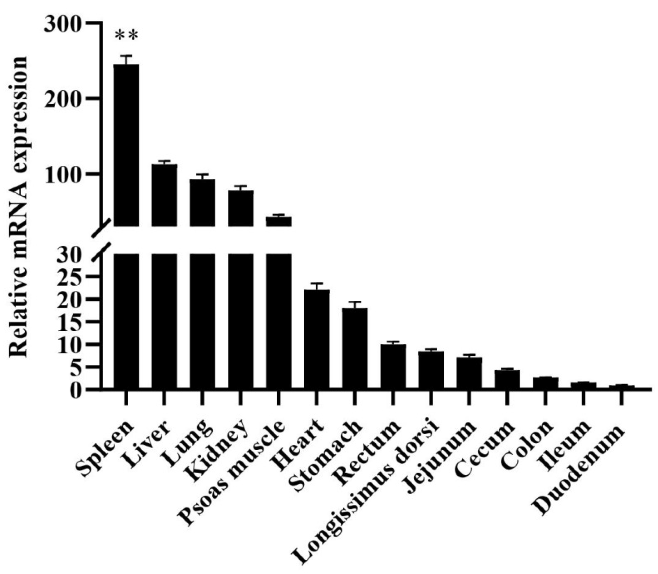 Genes 11 00352 g001 Genes 11 00352 g001