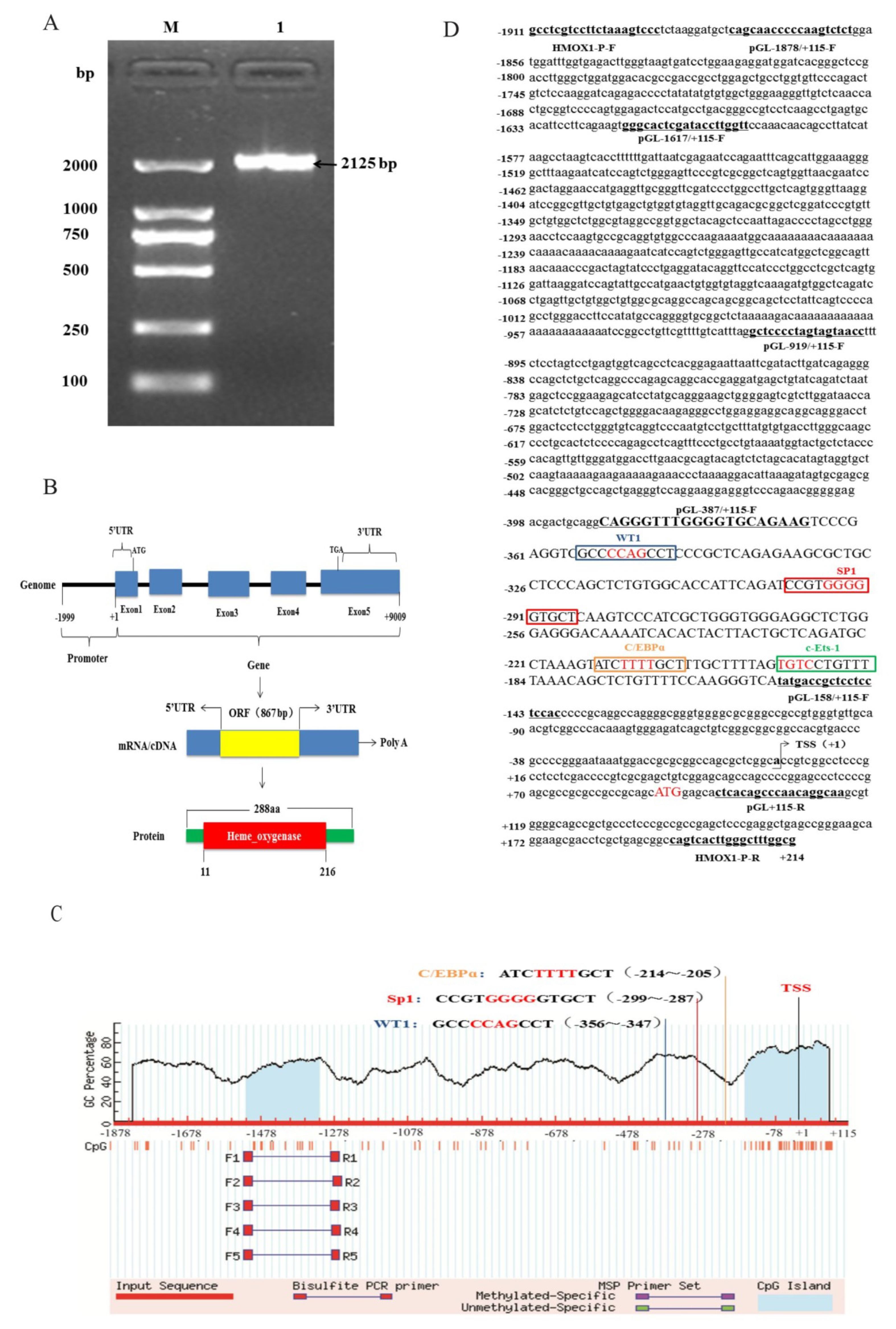 Genes 11 00352 g002 Genes 11 00352 g002