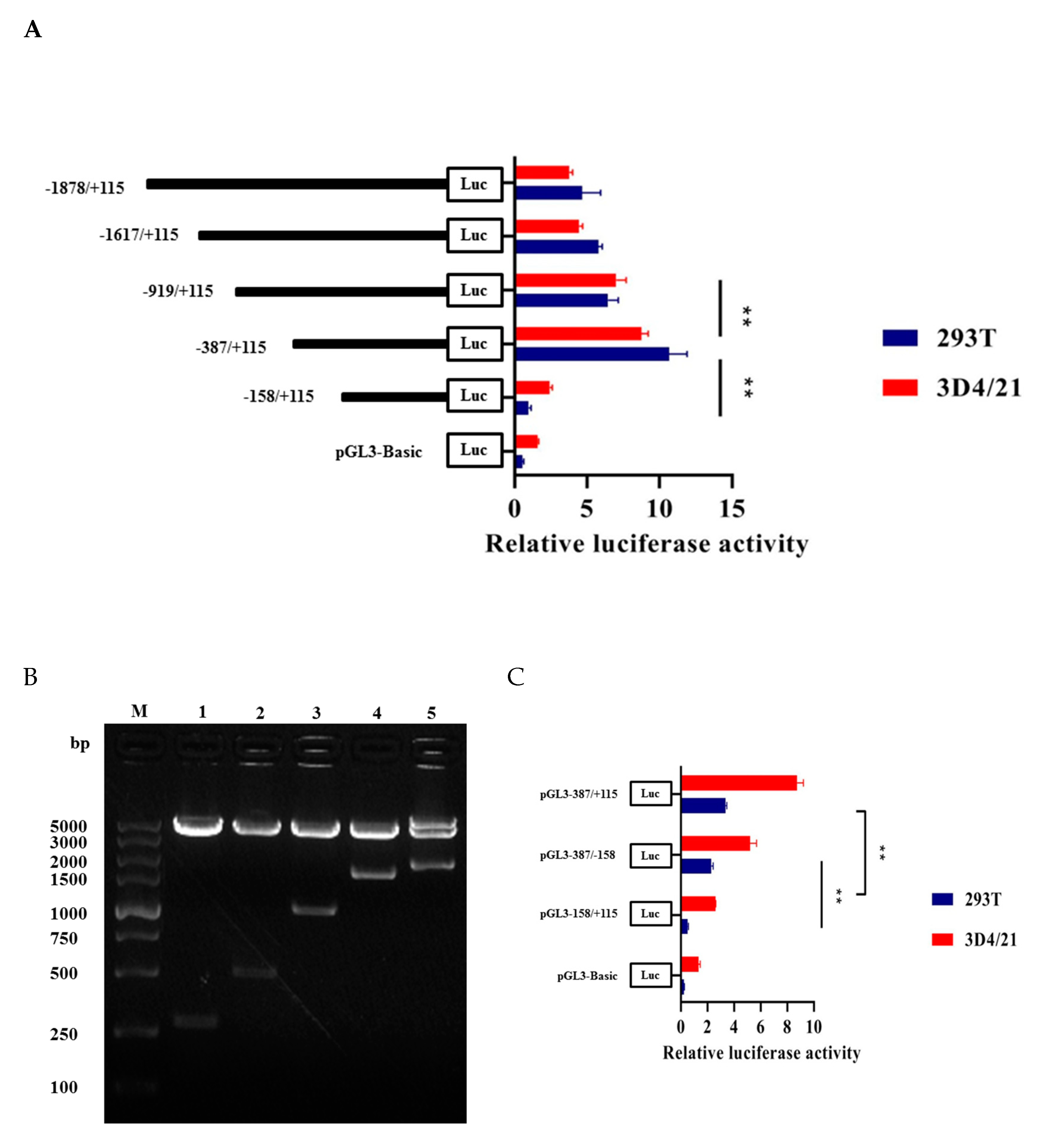 Genes 11 00352 g003 Genes 11 00352 g003