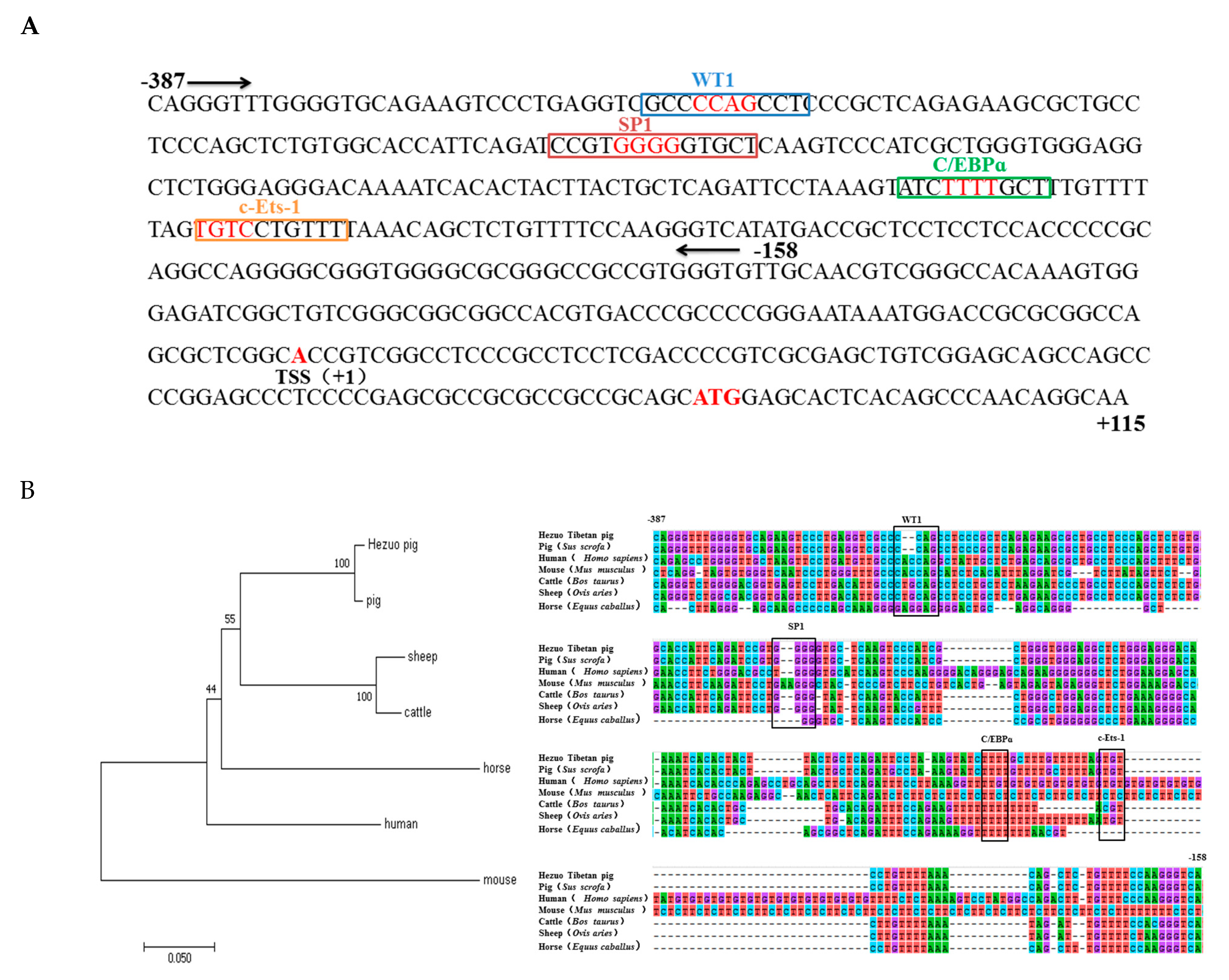 Genes 11 00352 g004 Genes 11 00352 g004