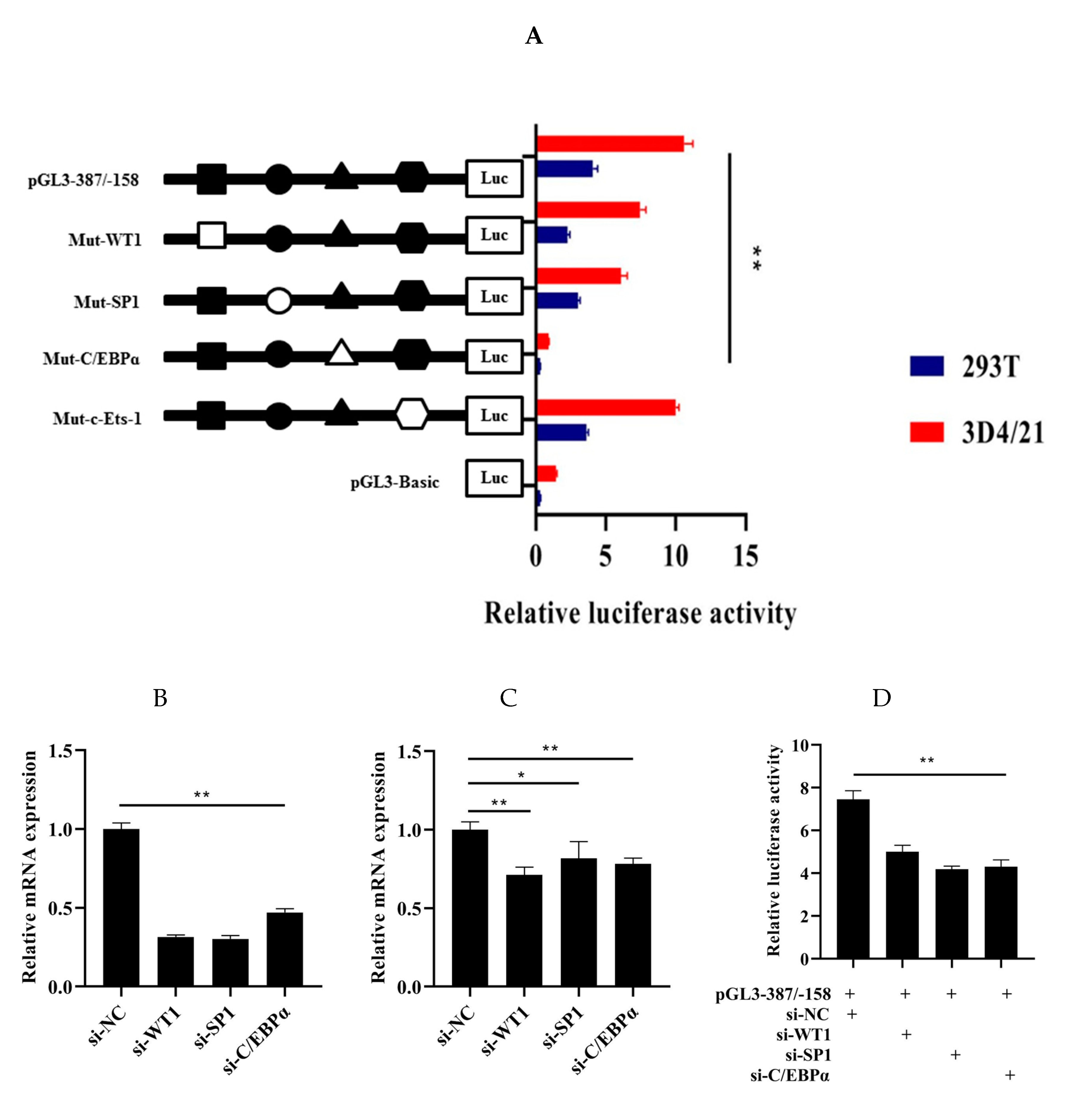 Genes 11 00352 g005 Genes 11 00352 g005