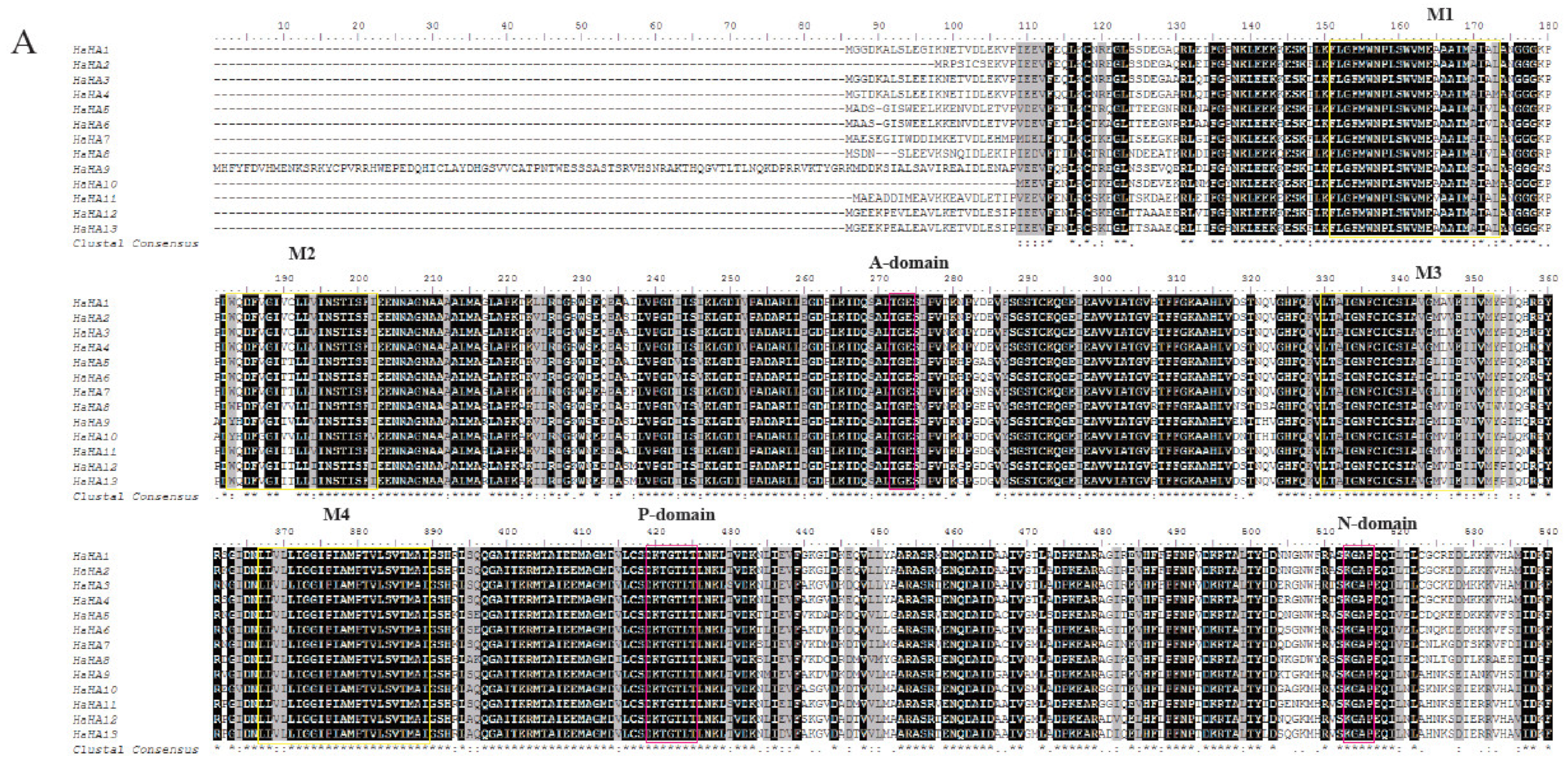 Genes 11 00361 g003a
