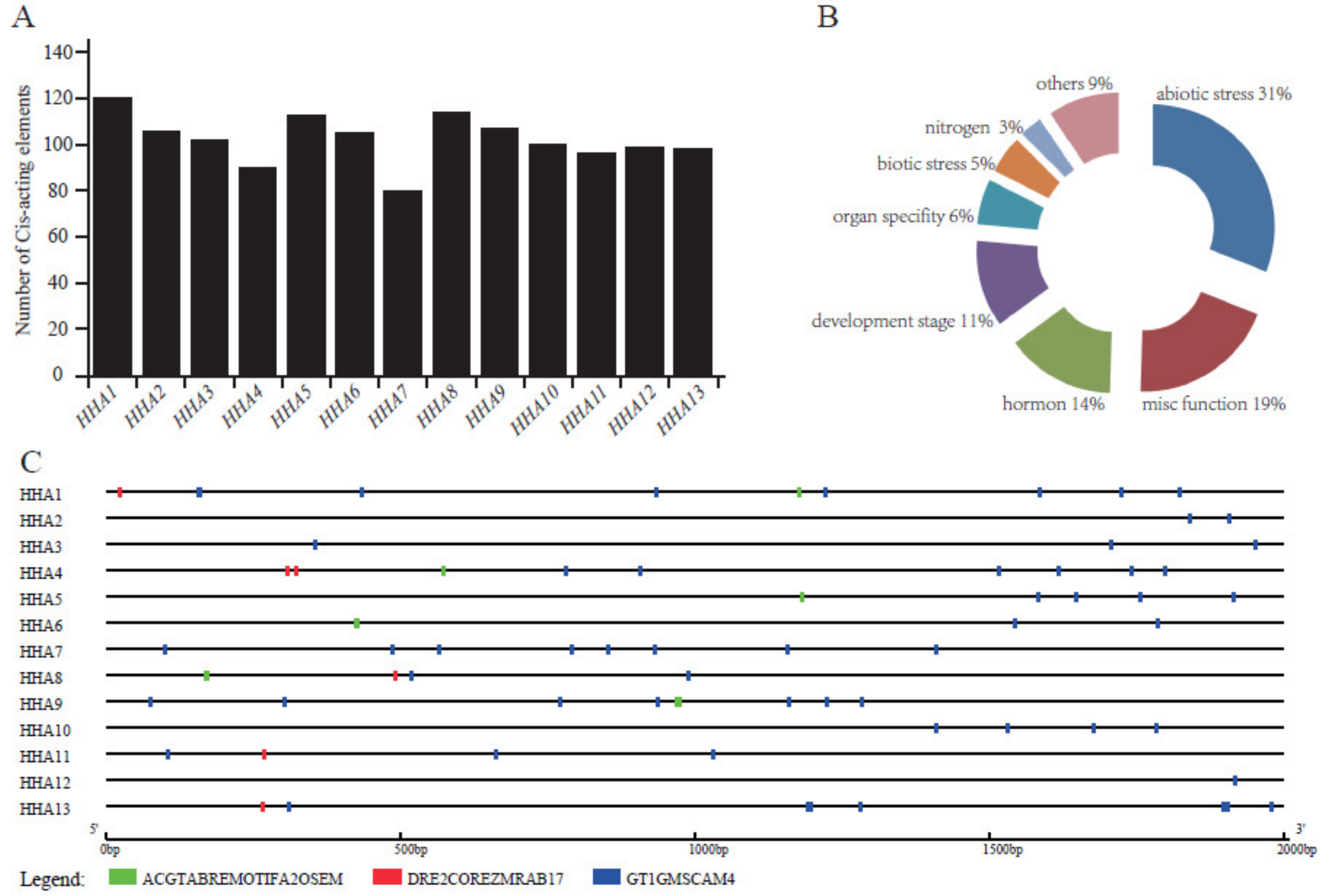 Genes 11 00361 g004
