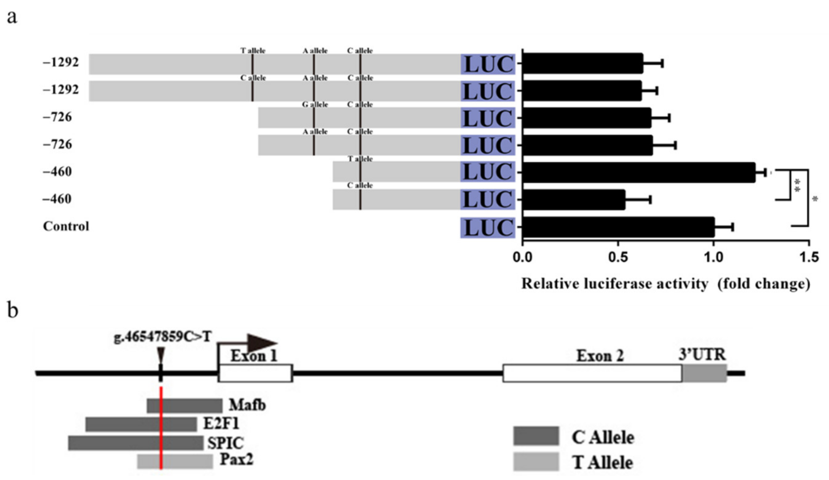 Genes 11 00375 g006