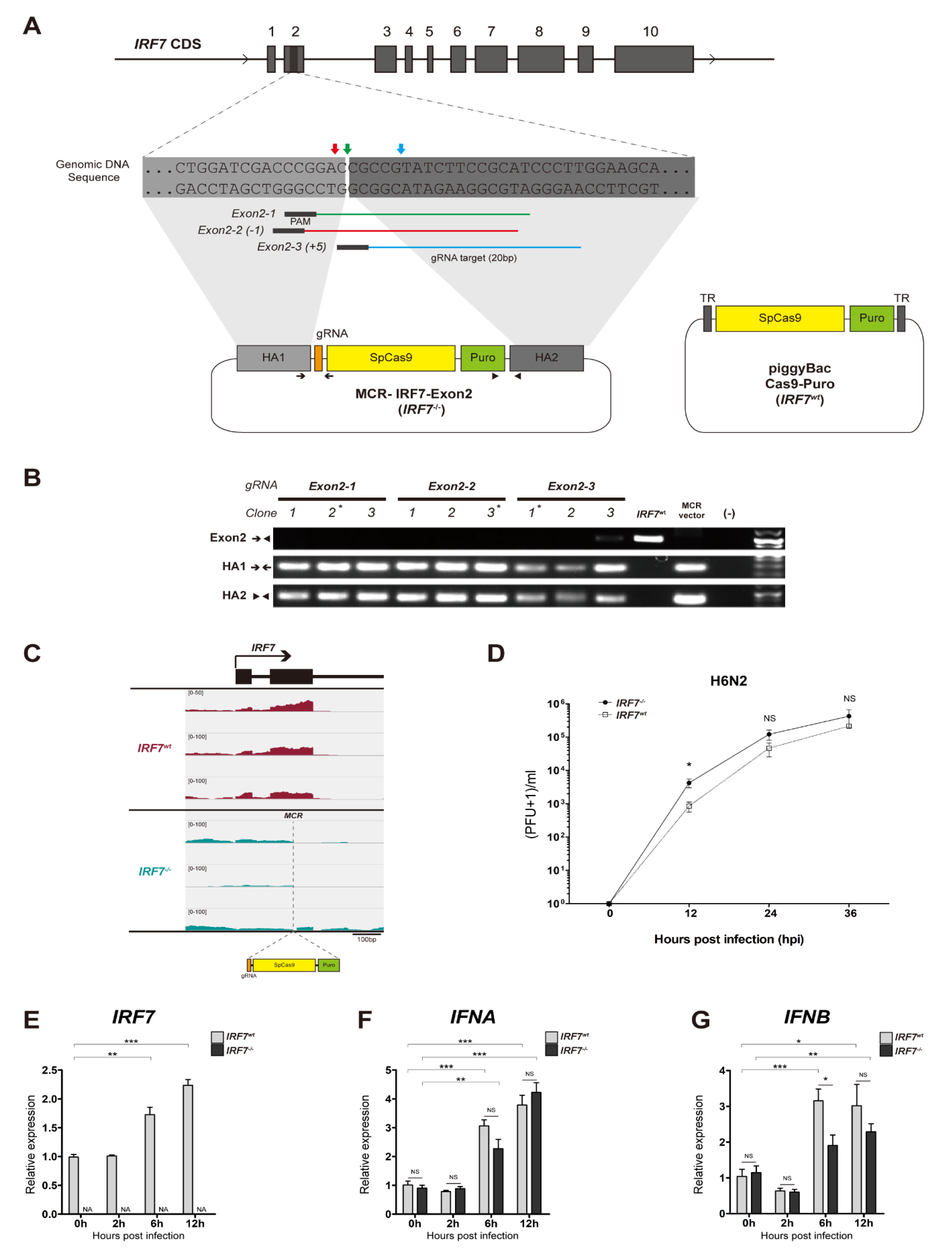 Genes 11 00385 g001 Genes 11 00385 g001