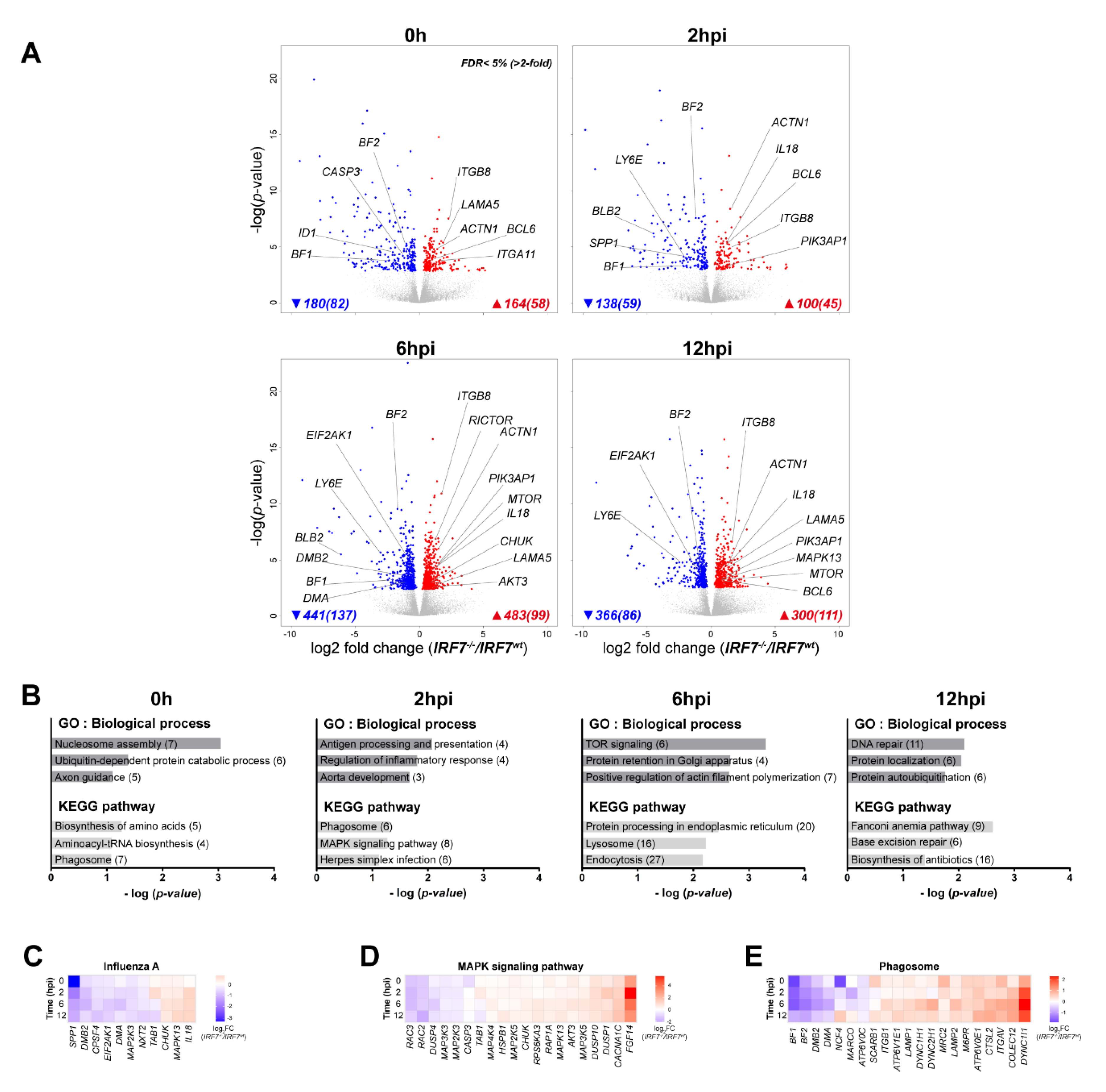 Genes 11 00385 g002 Genes 11 00385 g002