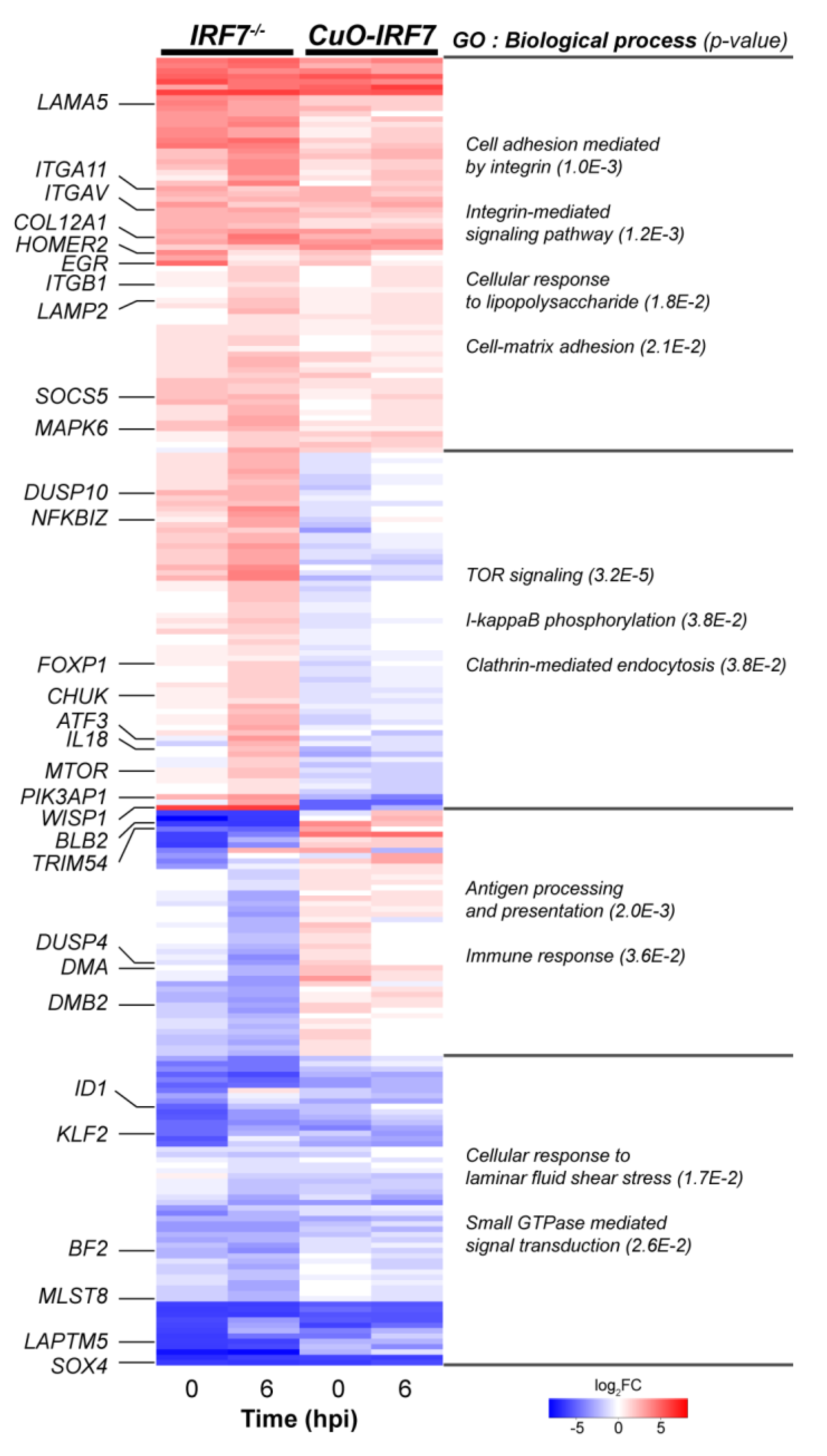 Genes 11 00385 g003 Genes 11 00385 g003