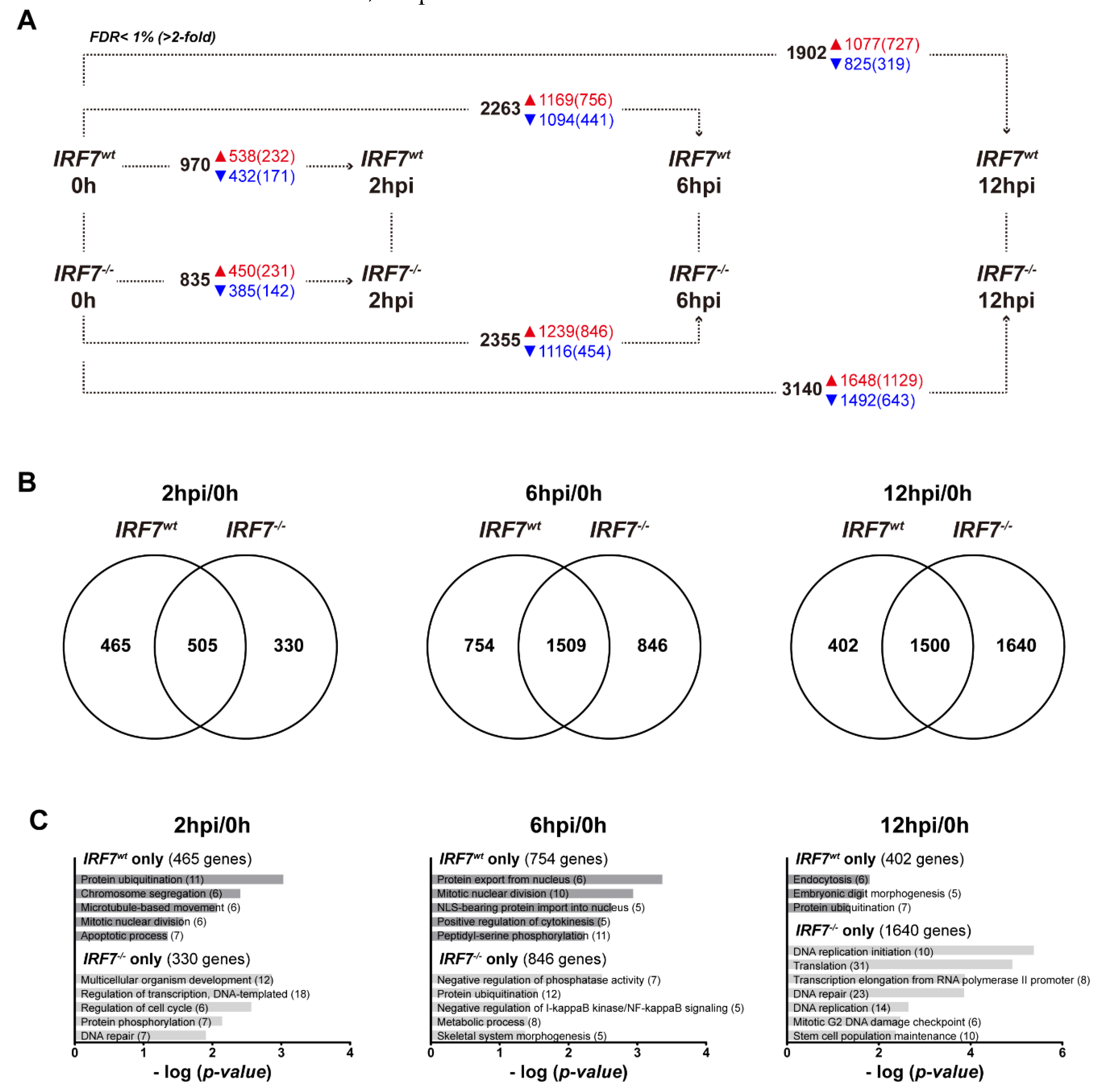 Genes 11 00385 g004 Genes 11 00385 g004