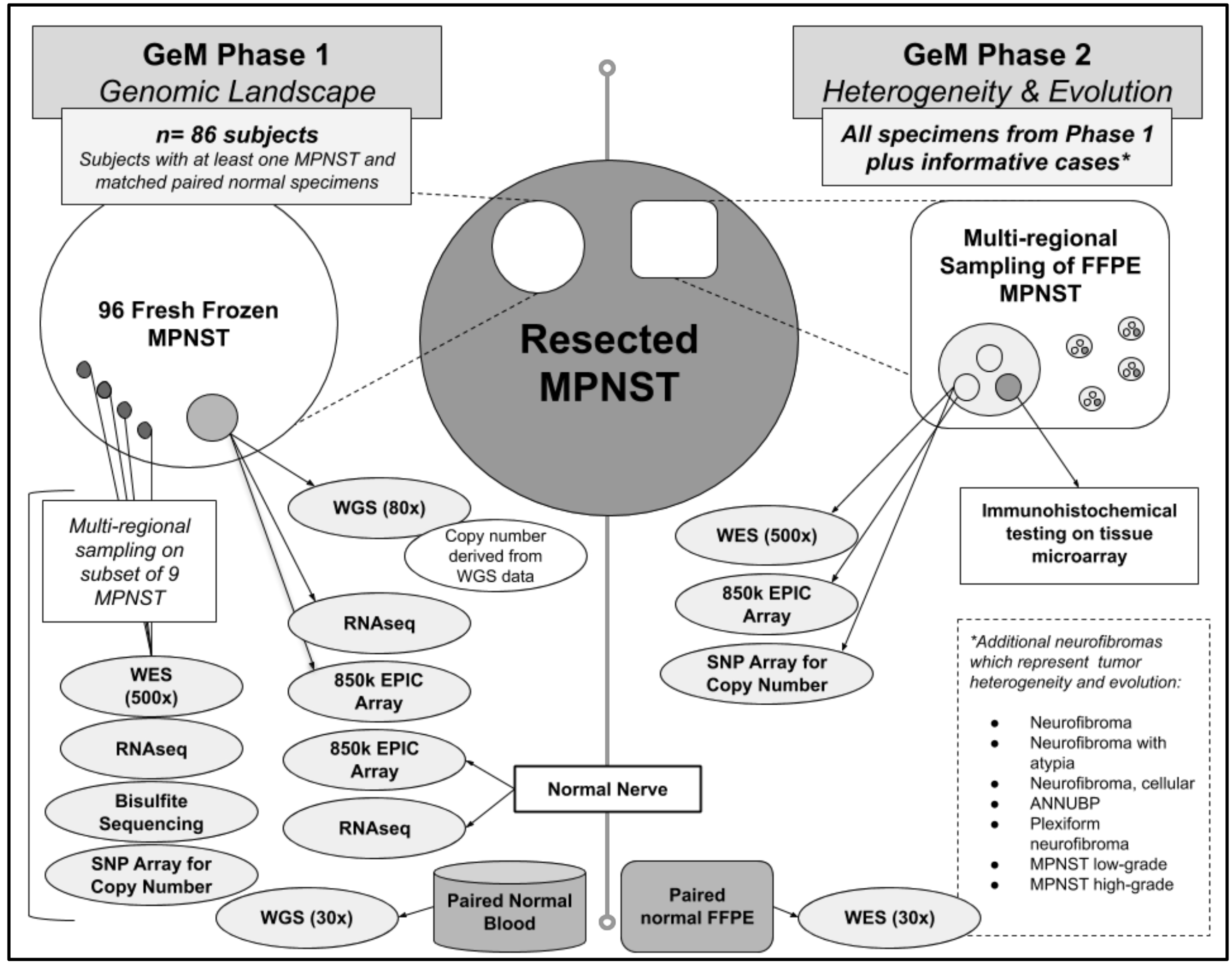 Genes 11 00387 g001 Genes 11 00387 g001
