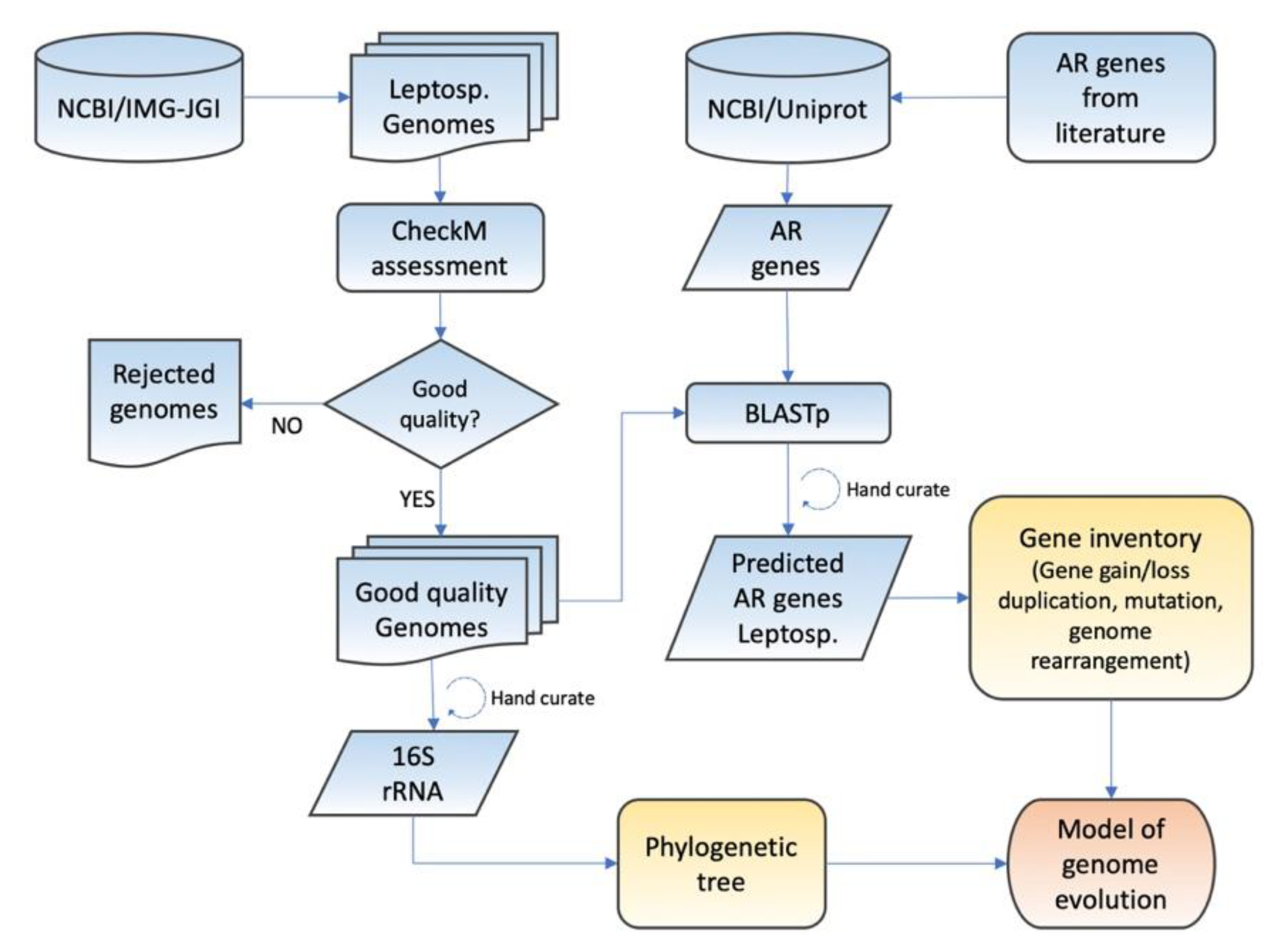 Genes 11 00389 g001 Genes 11 00389 g001