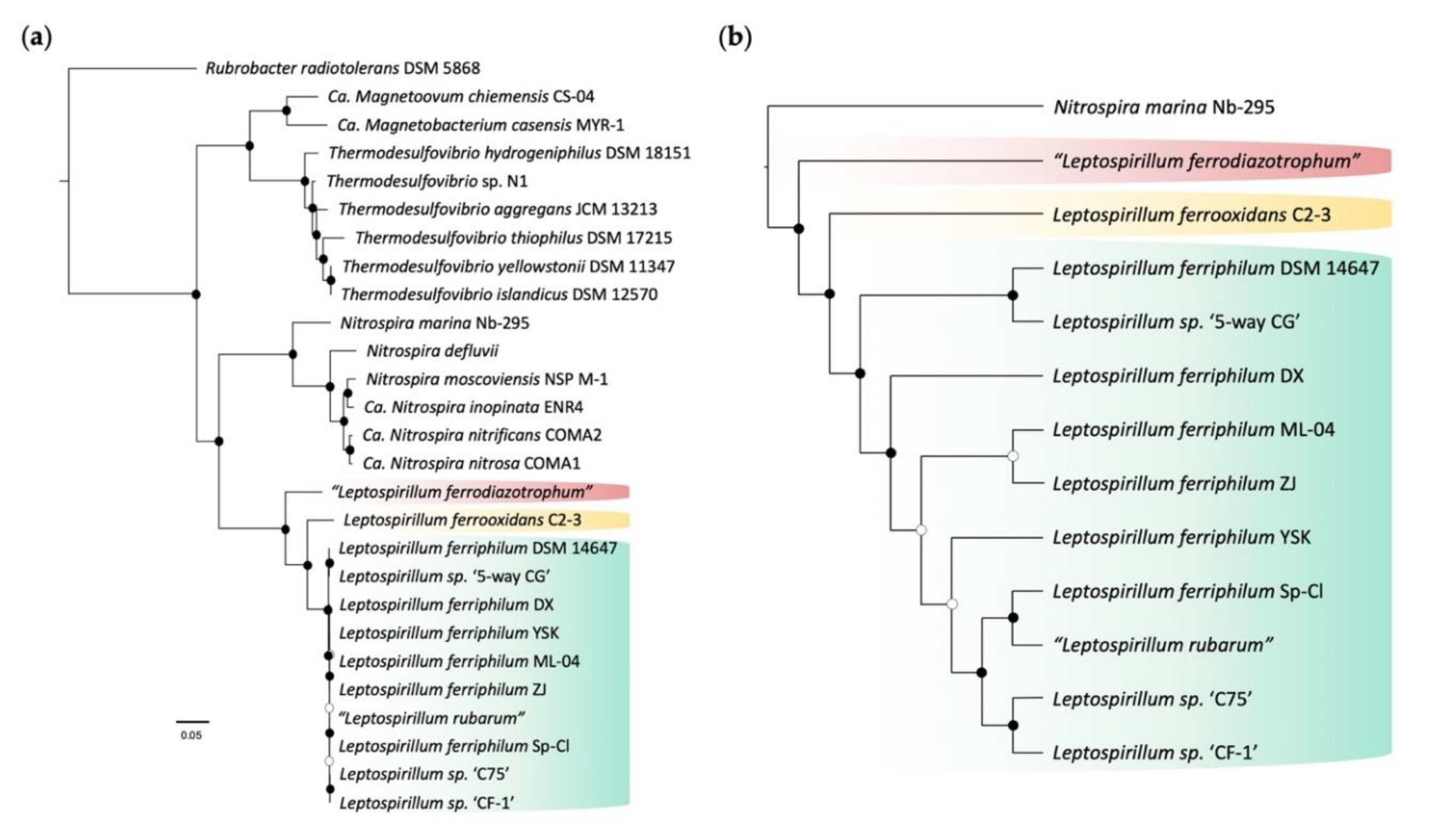 Genes 11 00389 g002 Genes 11 00389 g002