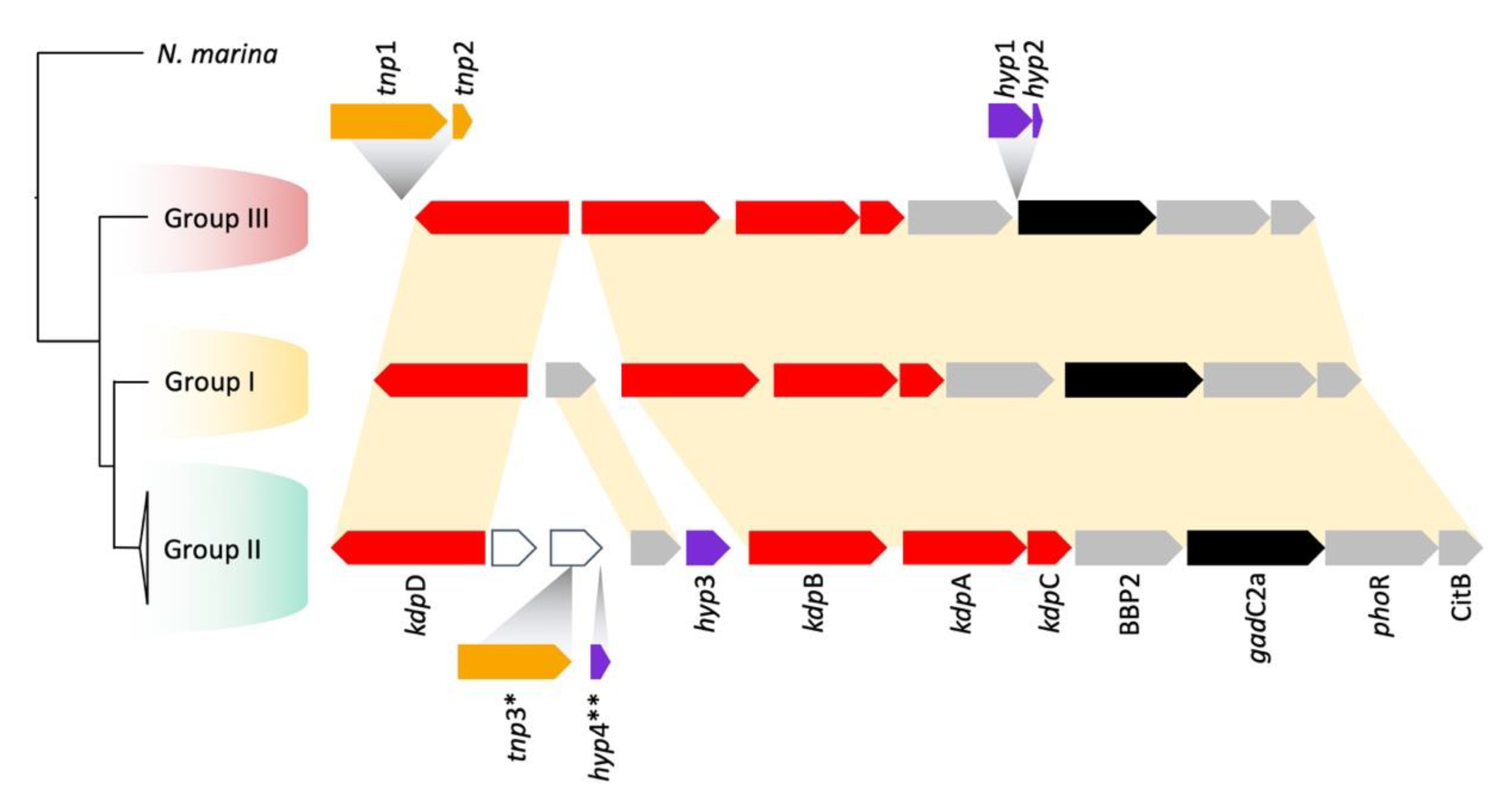 Genes 11 00389 g003 Genes 11 00389 g003
