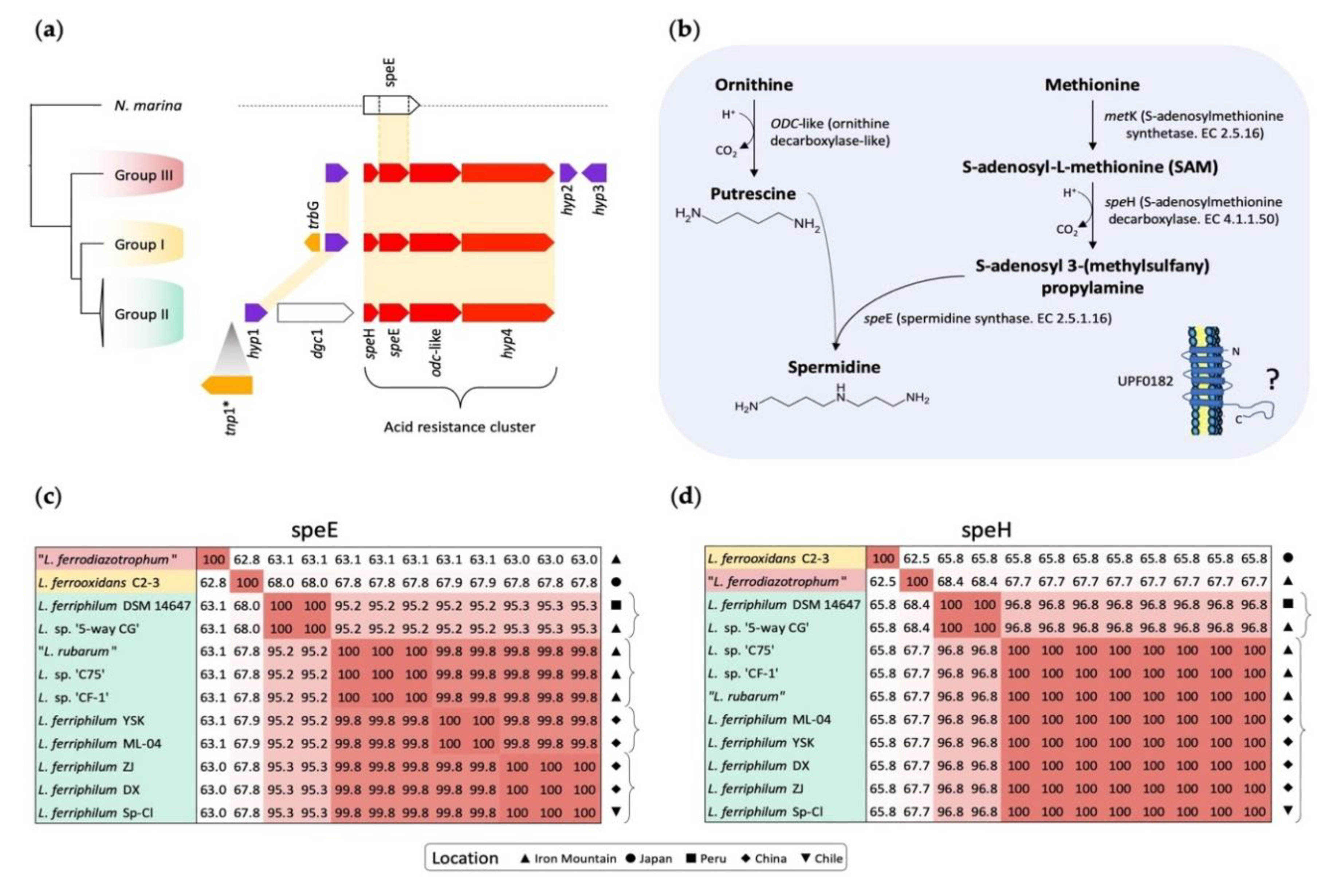Genes 11 00389 g004 Genes 11 00389 g004