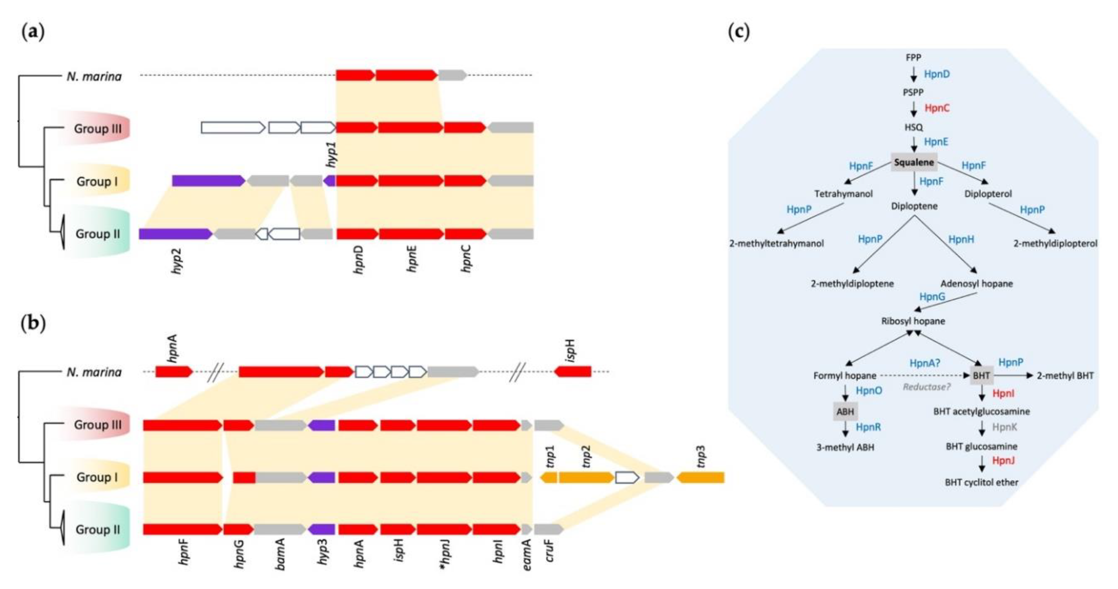 Genes 11 00389 g005 Genes 11 00389 g005