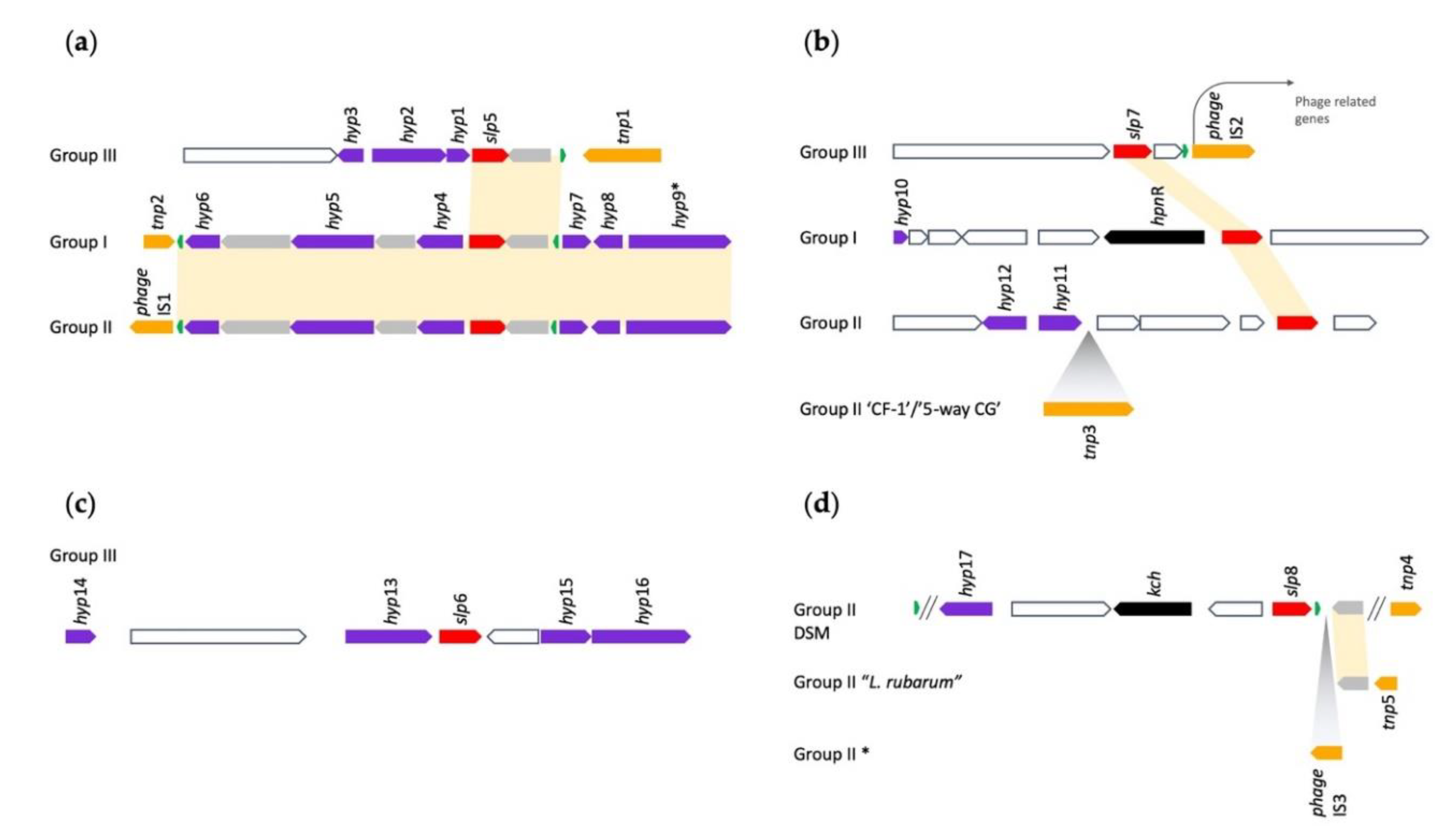Genes 11 00389 g006 Genes 11 00389 g006